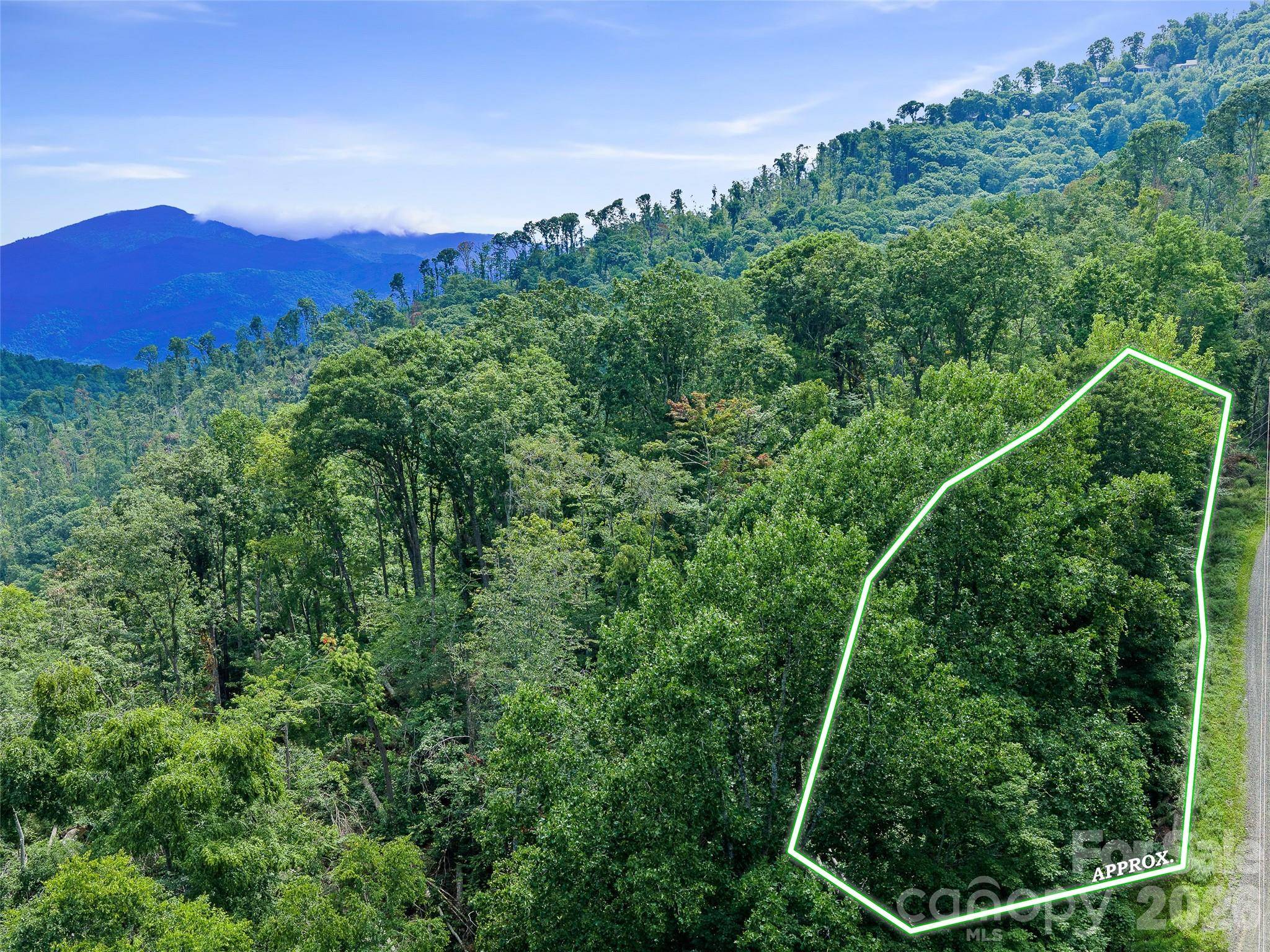 000 Winterberry RD #25, Burnsville, NC 28714