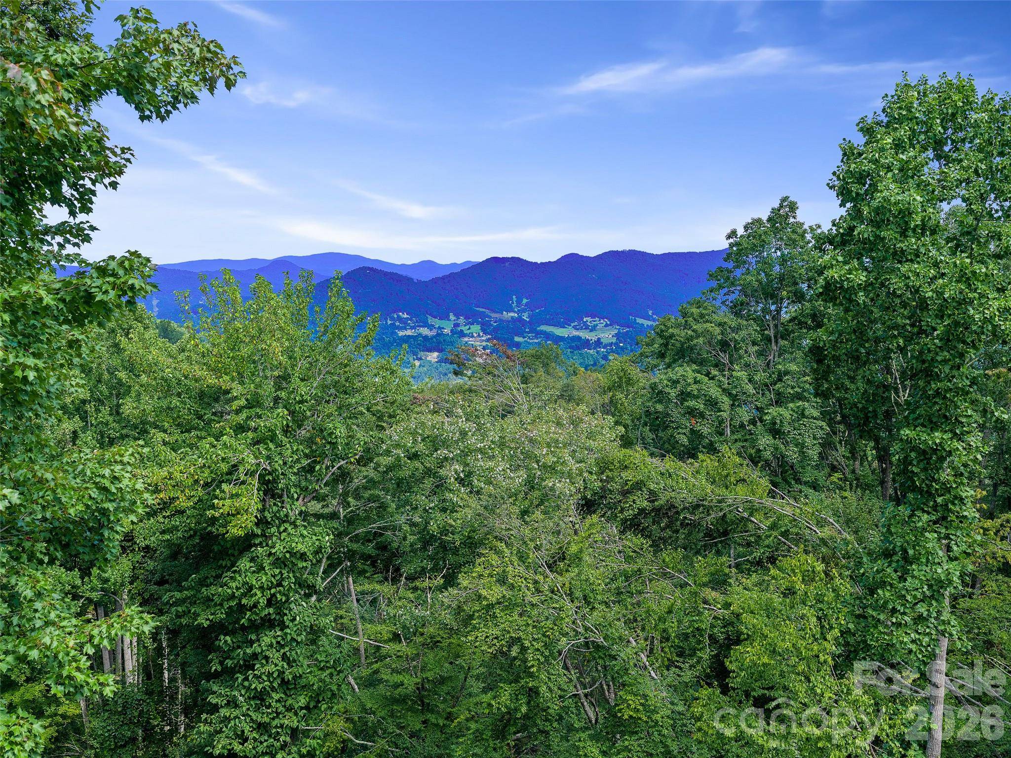 000 Winterberry RD #25, Burnsville, NC 28714