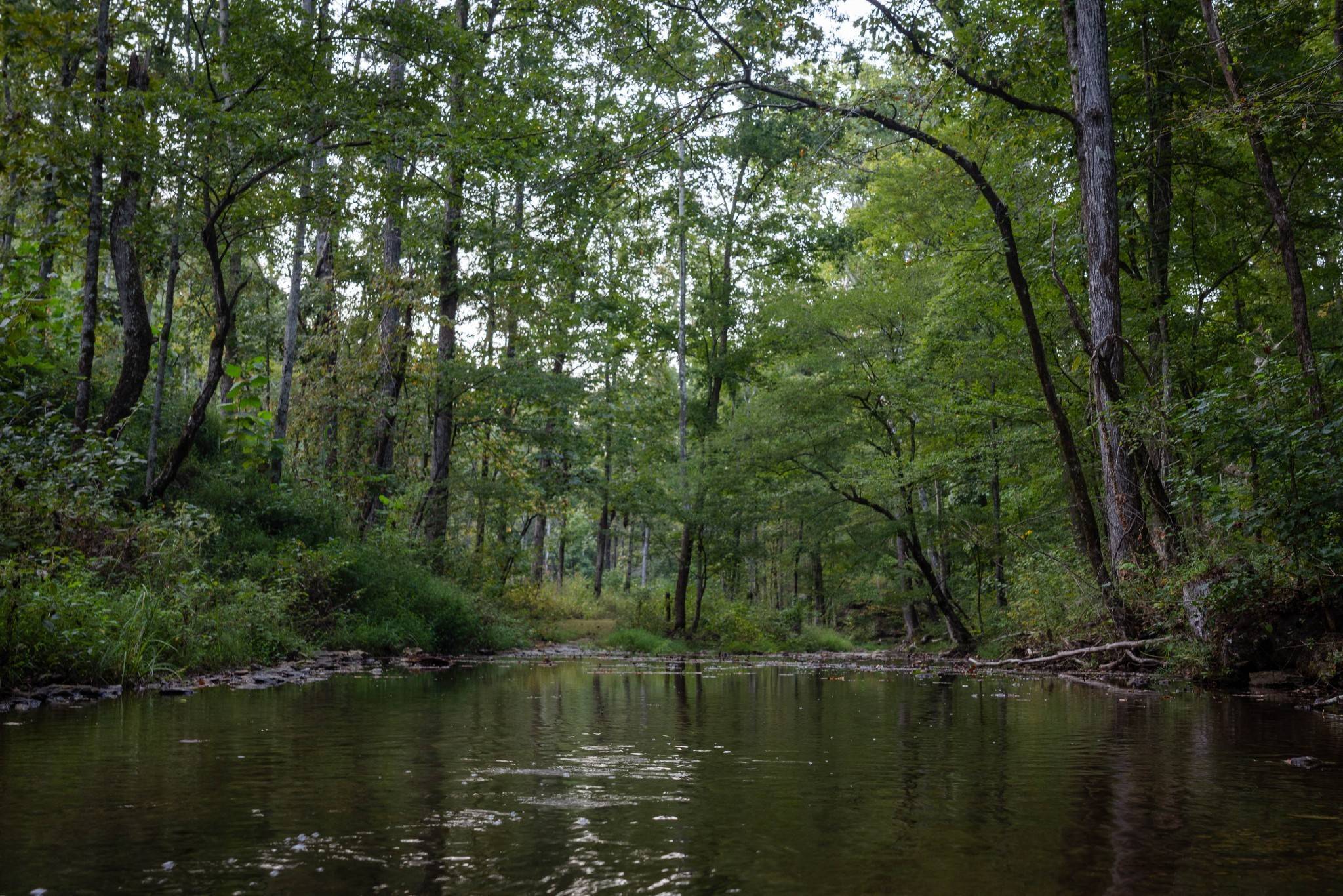 202 Ravenridge Rd, Summertown, TN 38483