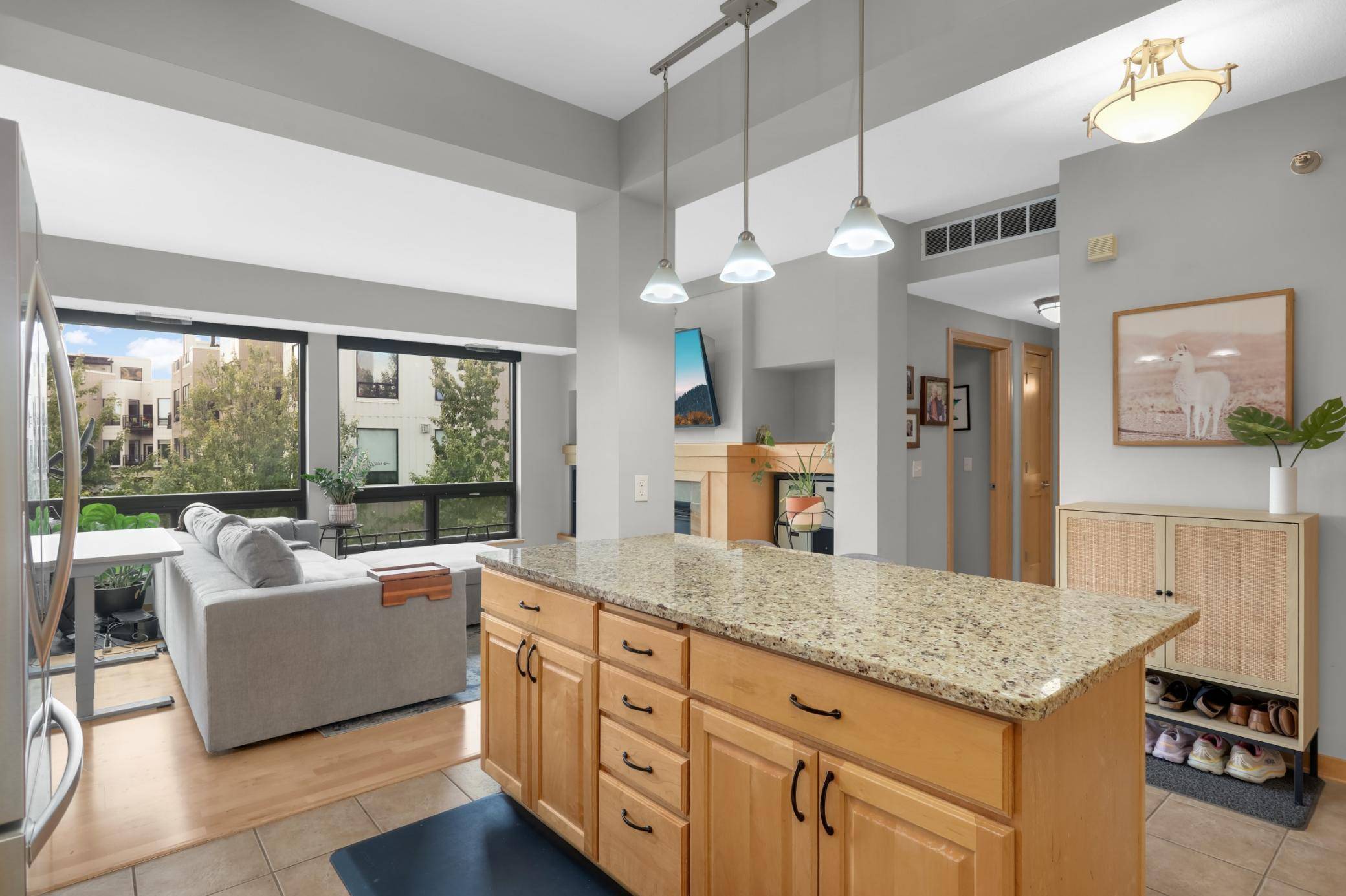 284 Spring ST #307, Saint Paul, MN 55102