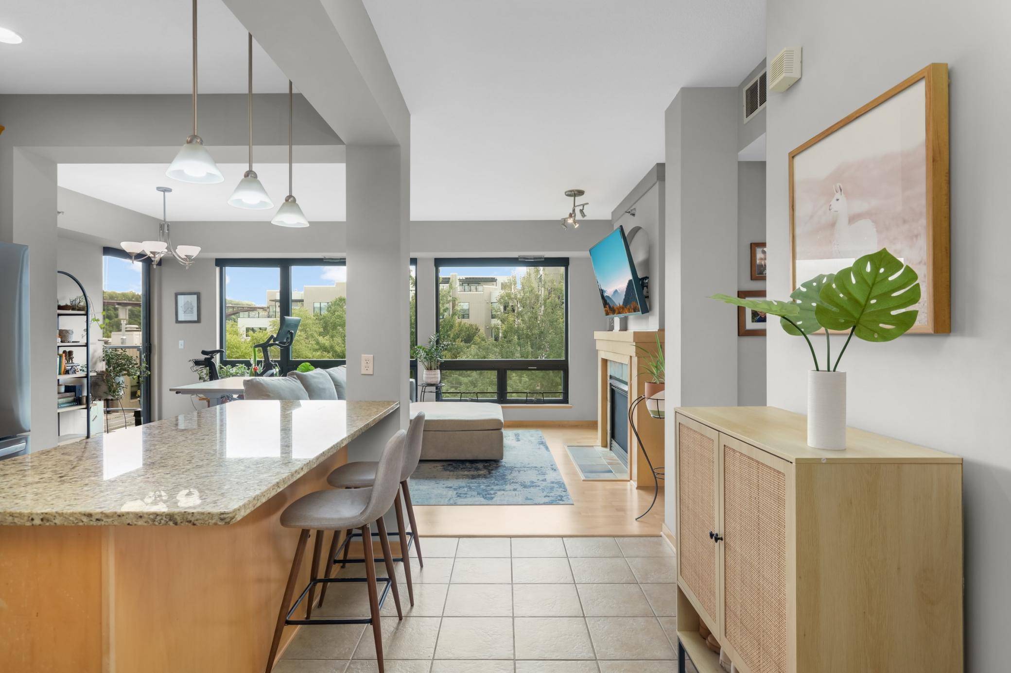 284 Spring ST #307, Saint Paul, MN 55102