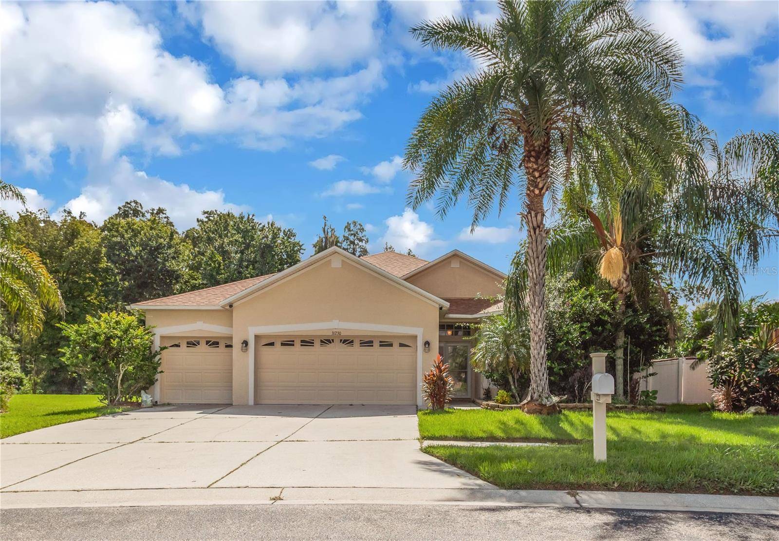 31230 ALCHESTER DR, Wesley Chapel, FL 33543