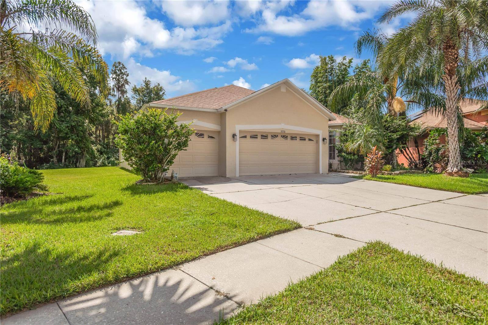 31230 ALCHESTER DR, Wesley Chapel, FL 33543
