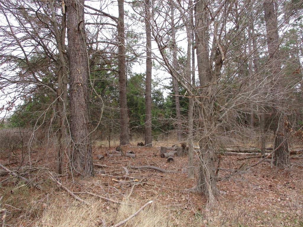TBD Rains County Road 3040, Emory, TX 75440