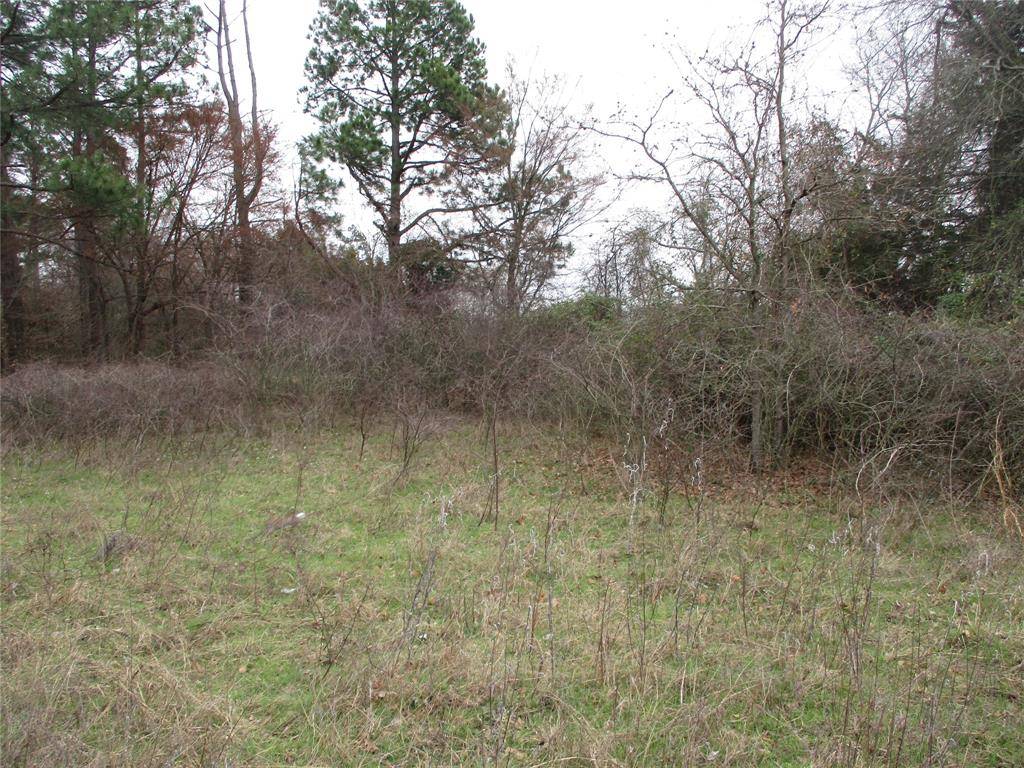 TBD Rains County Road 3040, Emory, TX 75440