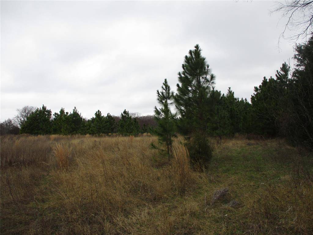 TBD Rains County Road 3040, Emory, TX 75440