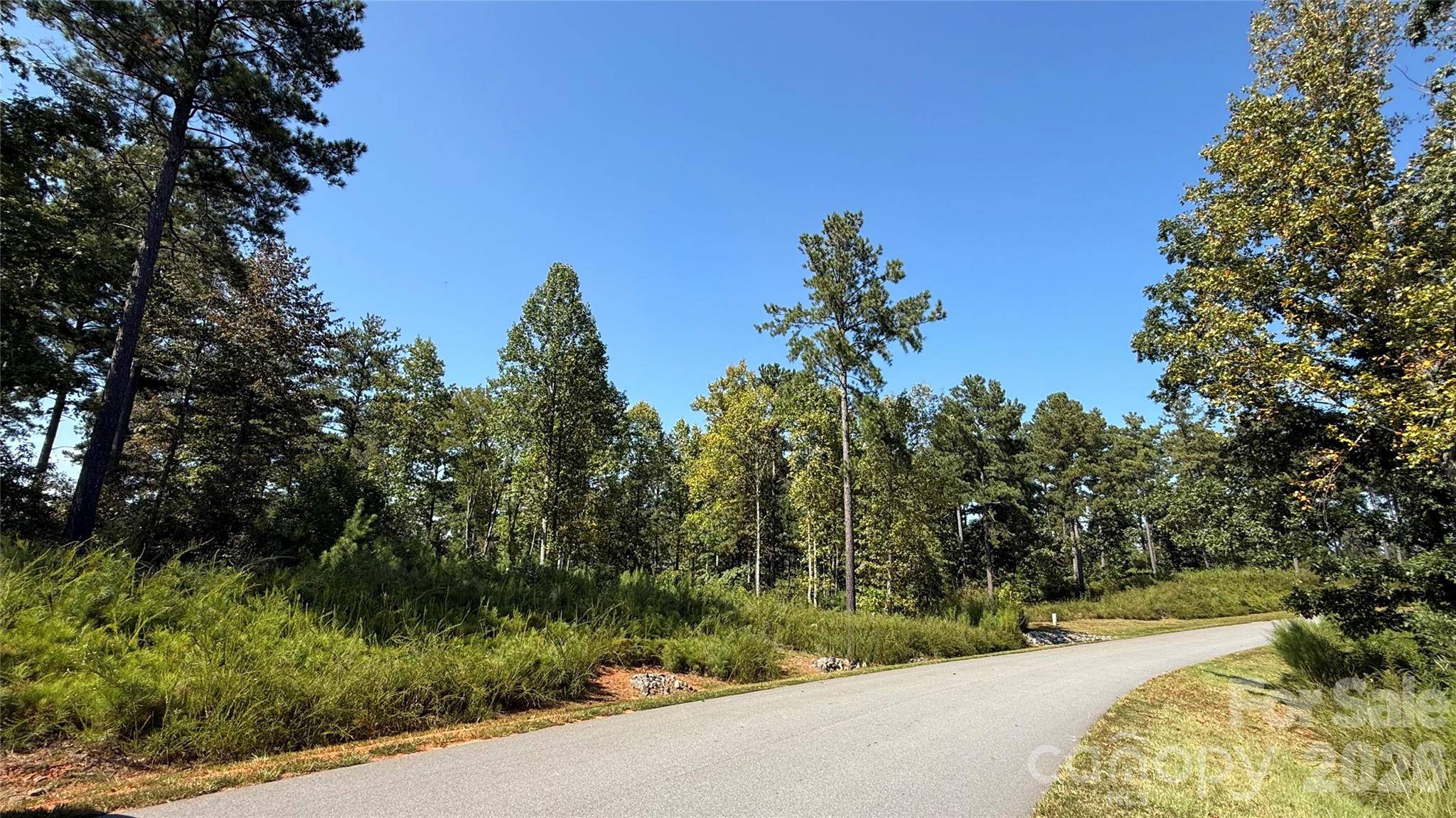 2119 Jumping RUN #185, Connelly Springs, NC 28612