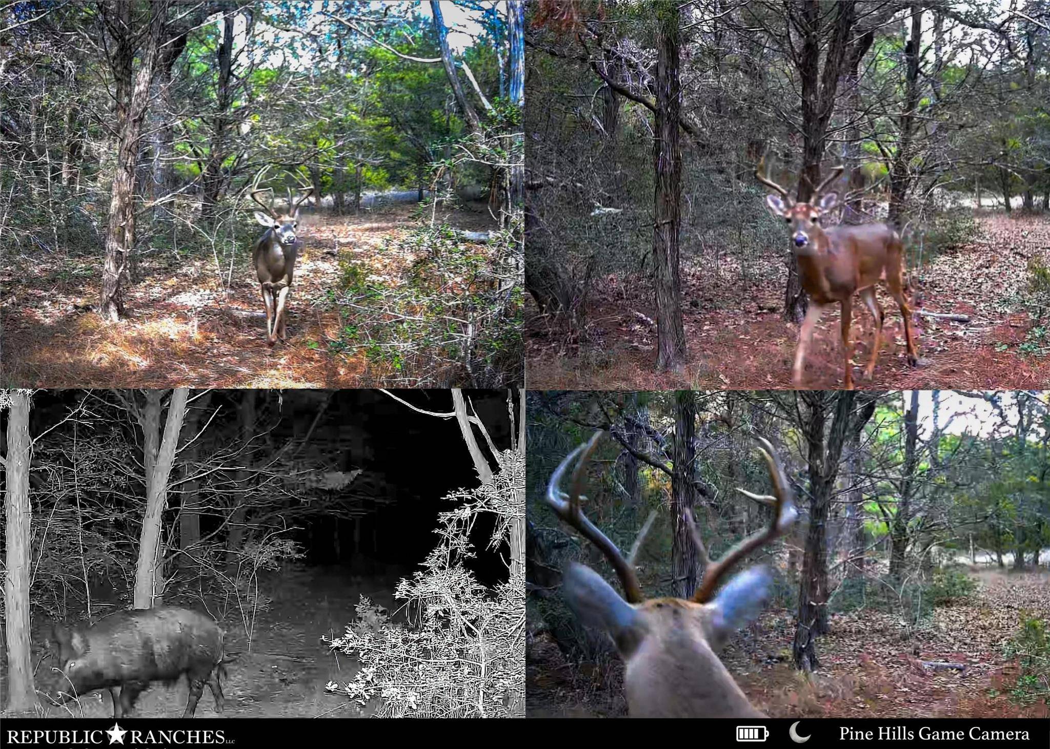 677 Old Antioch RD, Smithville, TX 78957