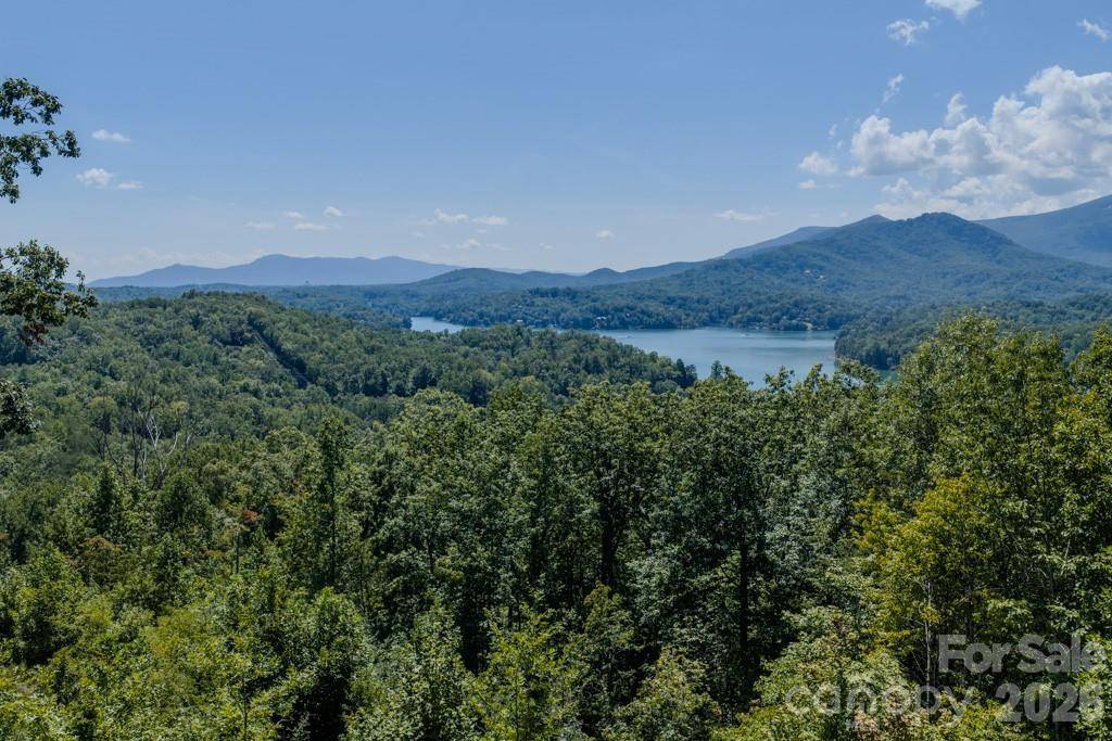 167 Hawks Nest TRL, Lake Lure, NC 28746