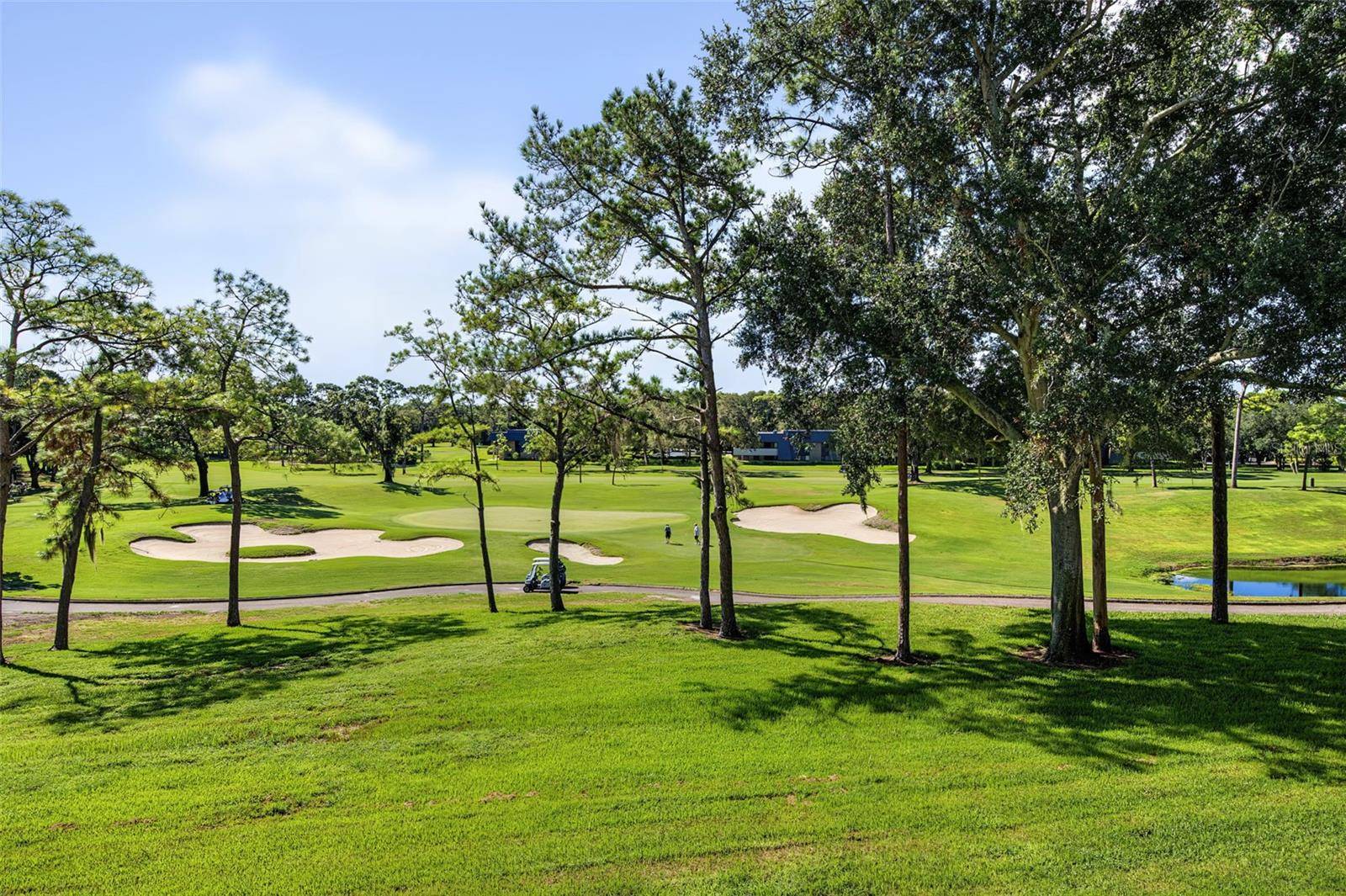 36750 US HIGHWAY 19 N #2769, Palm Harbor, FL 34684