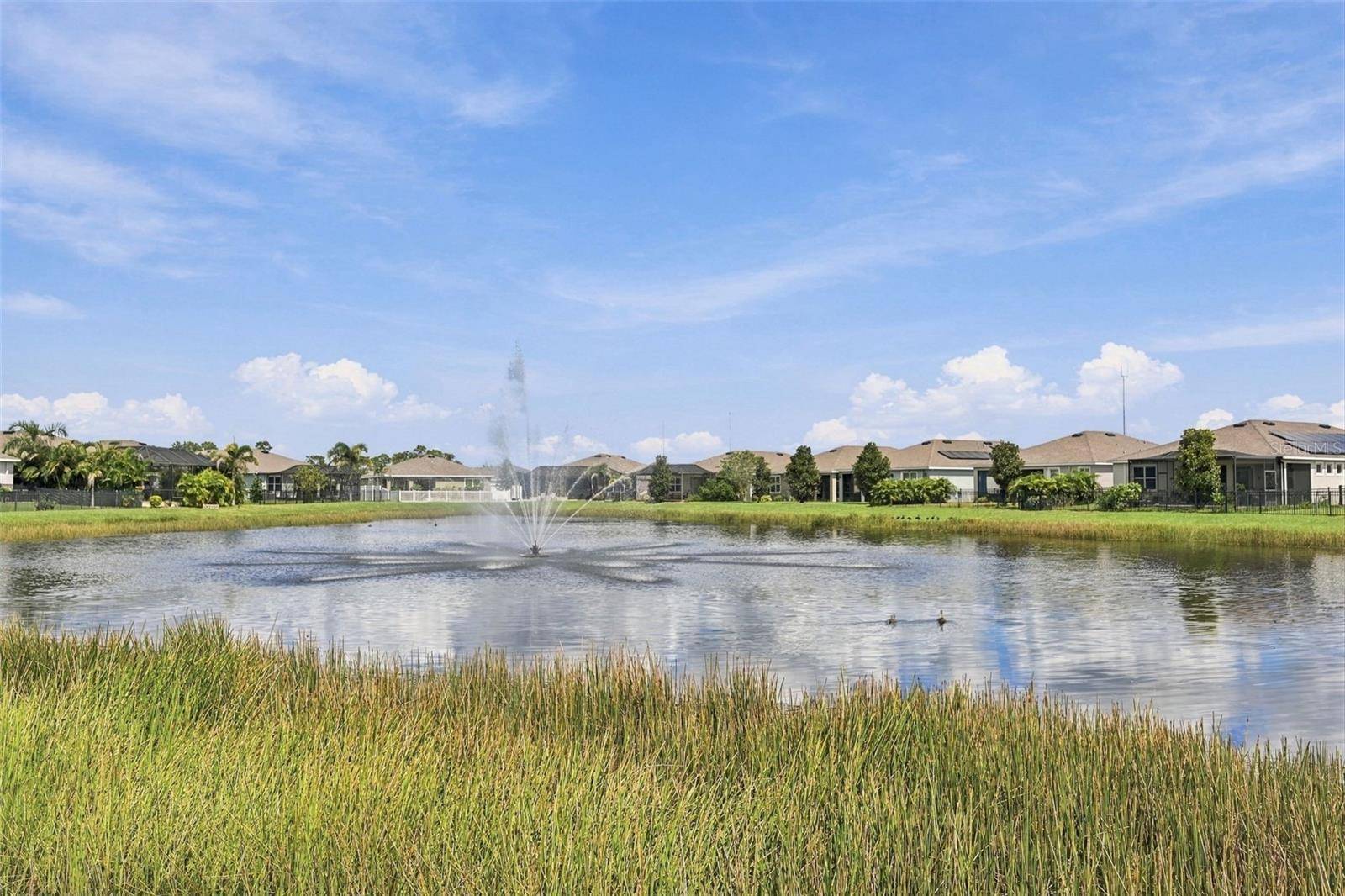 13344 WATERLEAF GARDEN CIR, Riverview, FL 33579