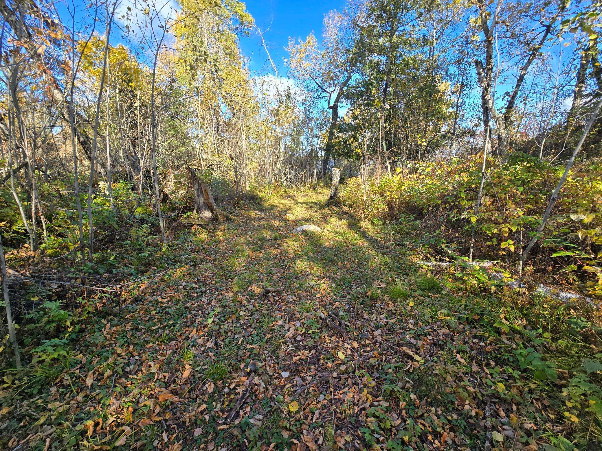 Tract 8 Brush Island, Angle Inlet, MN 56711
