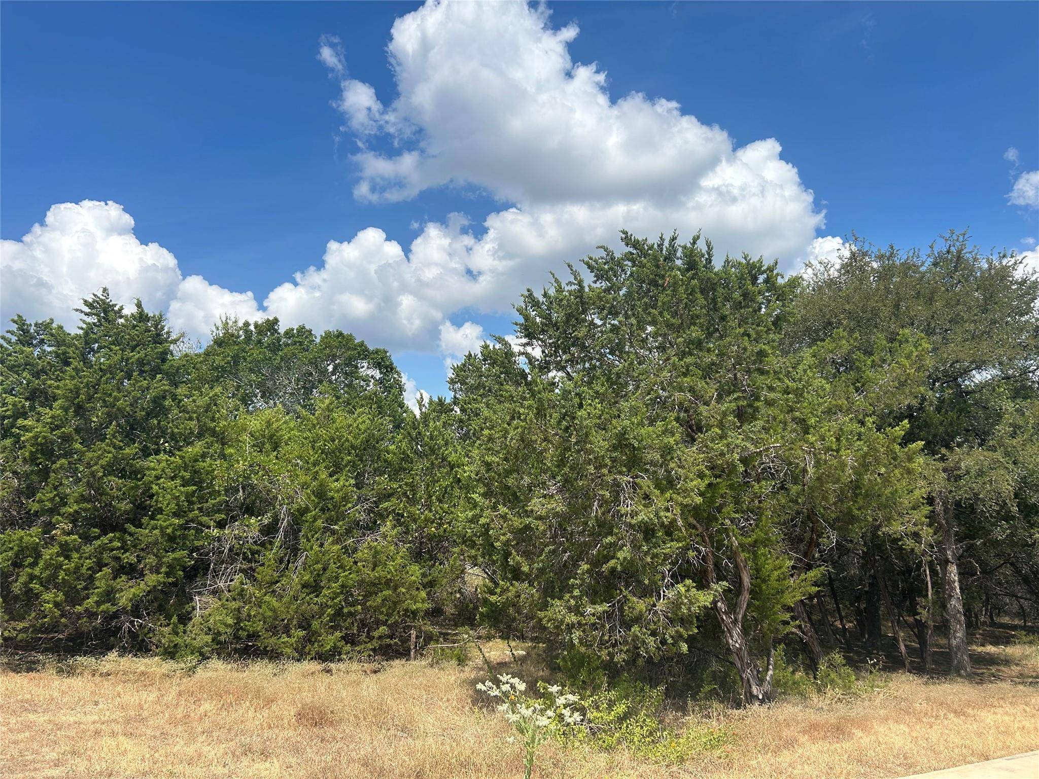 76 Deer Ridge RD, Wimberley, TX 78676