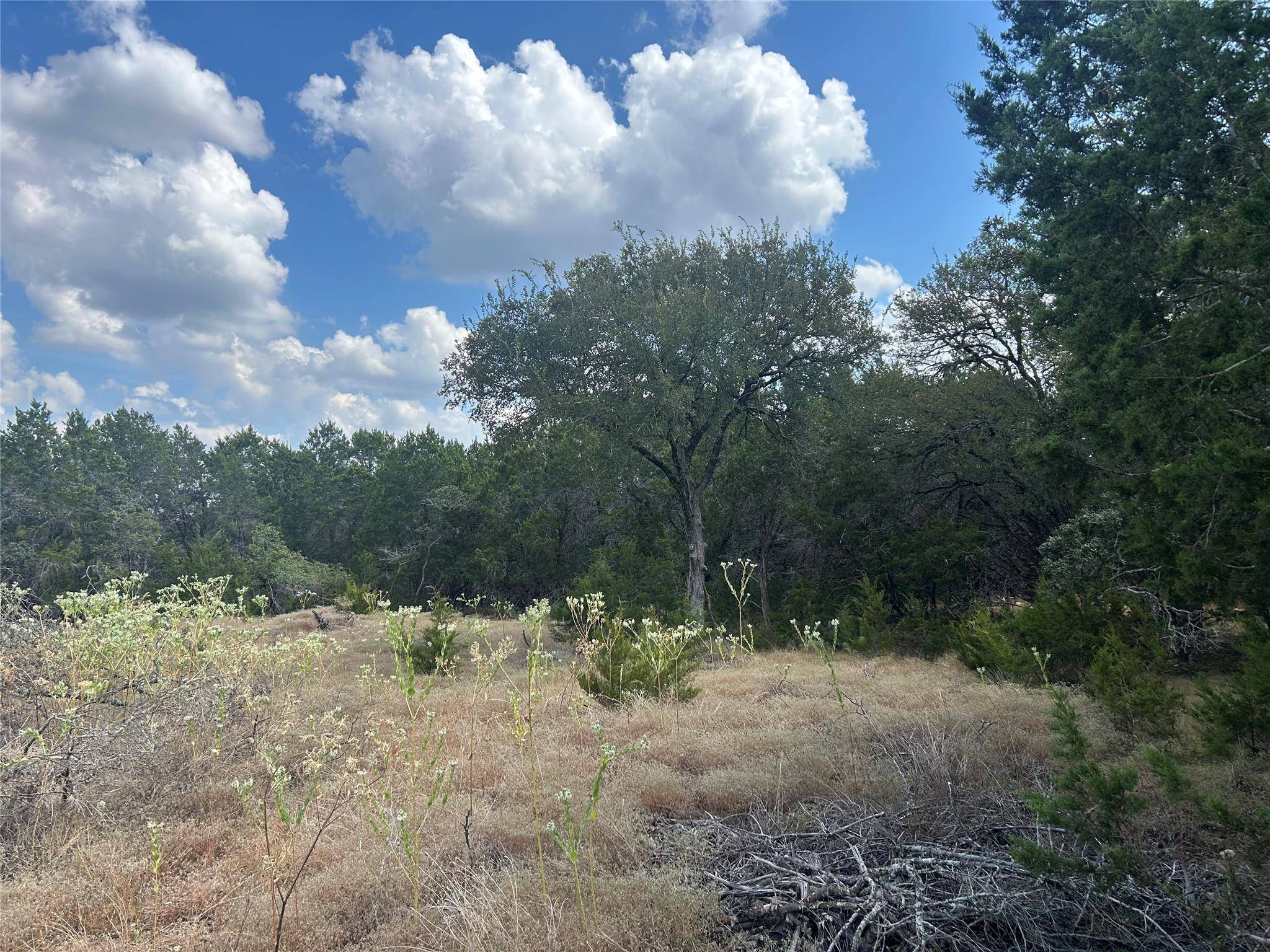 76 Deer Ridge RD, Wimberley, TX 78676
