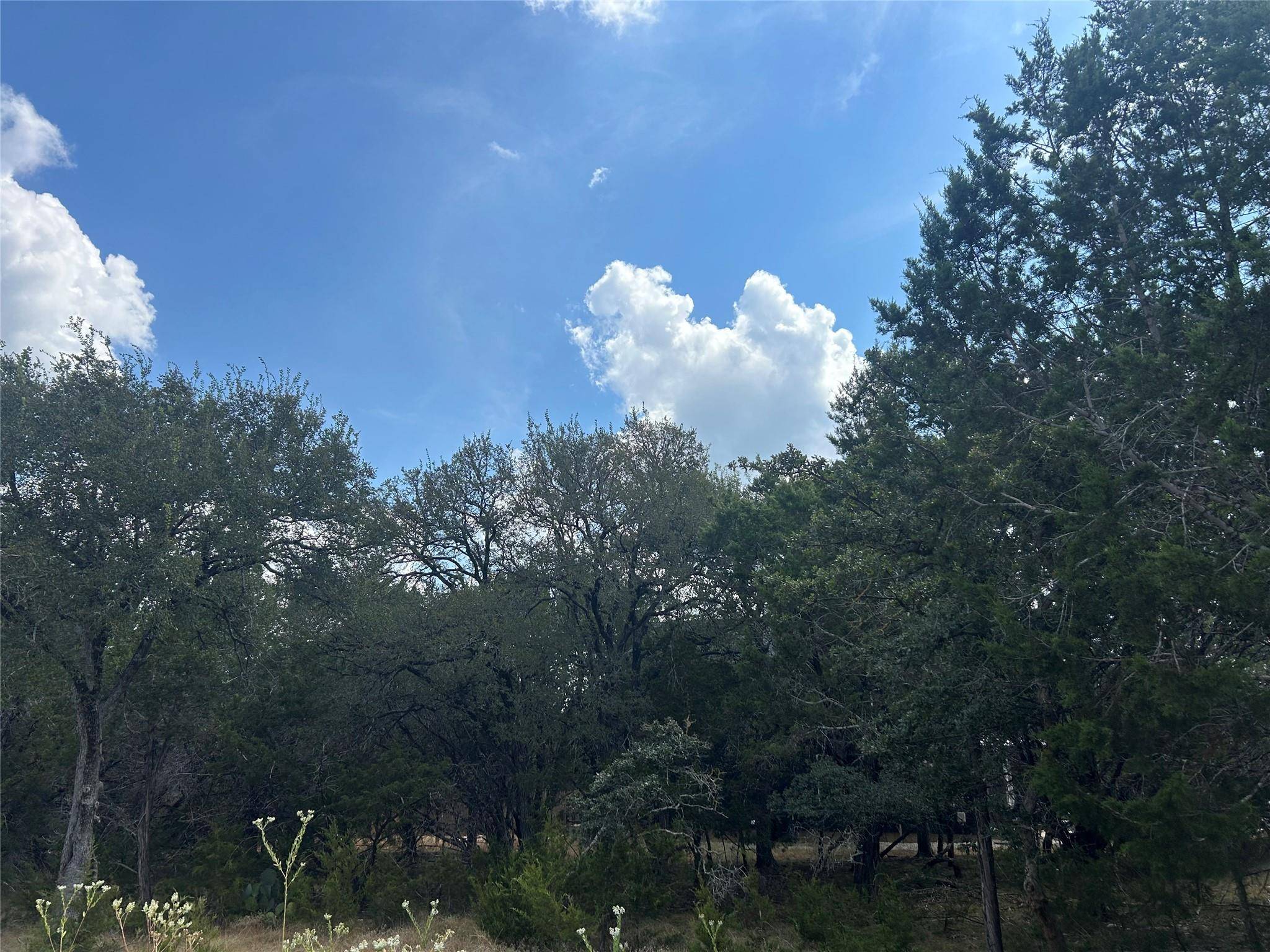 74 Deer Ridge RD, Wimberley, TX 78676