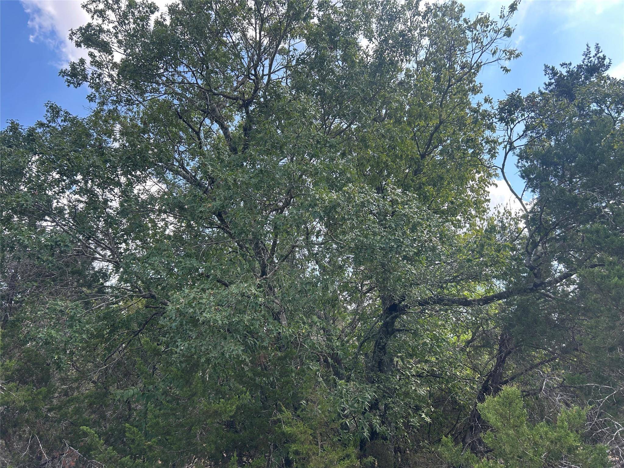74 Deer Ridge RD, Wimberley, TX 78676
