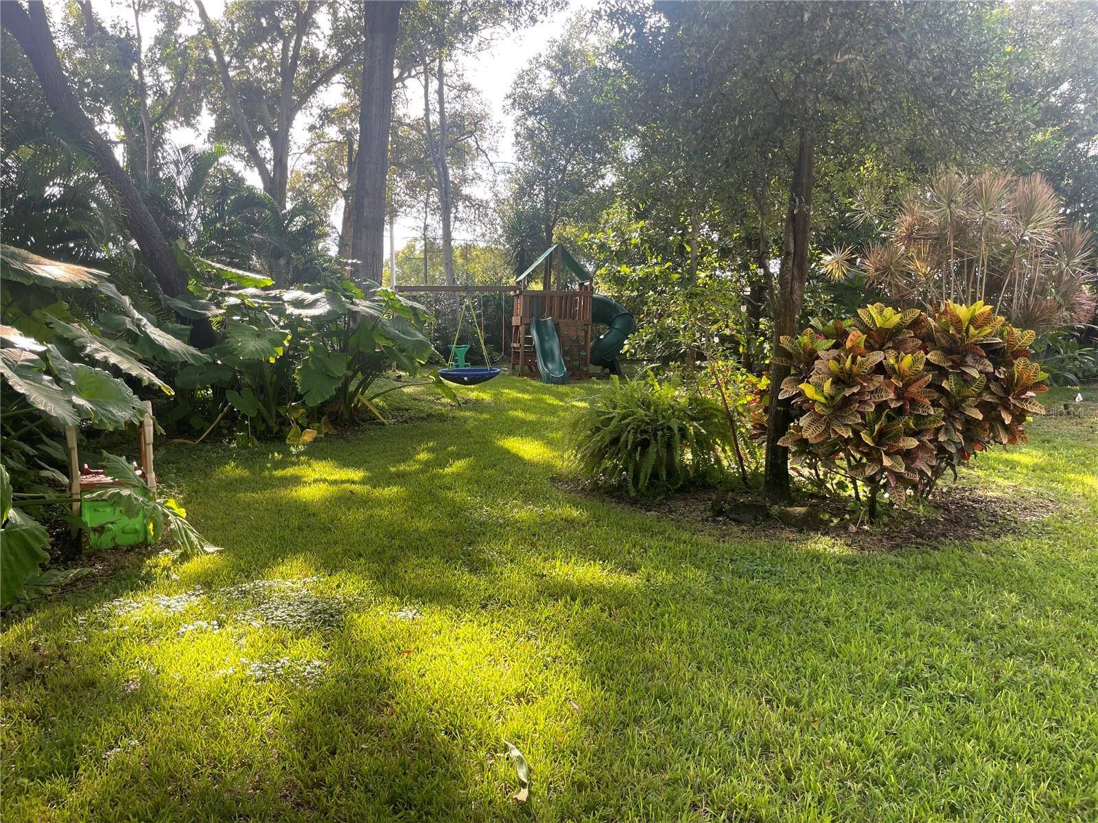1304 TREETOP DR, Palm Harbor, FL 34683