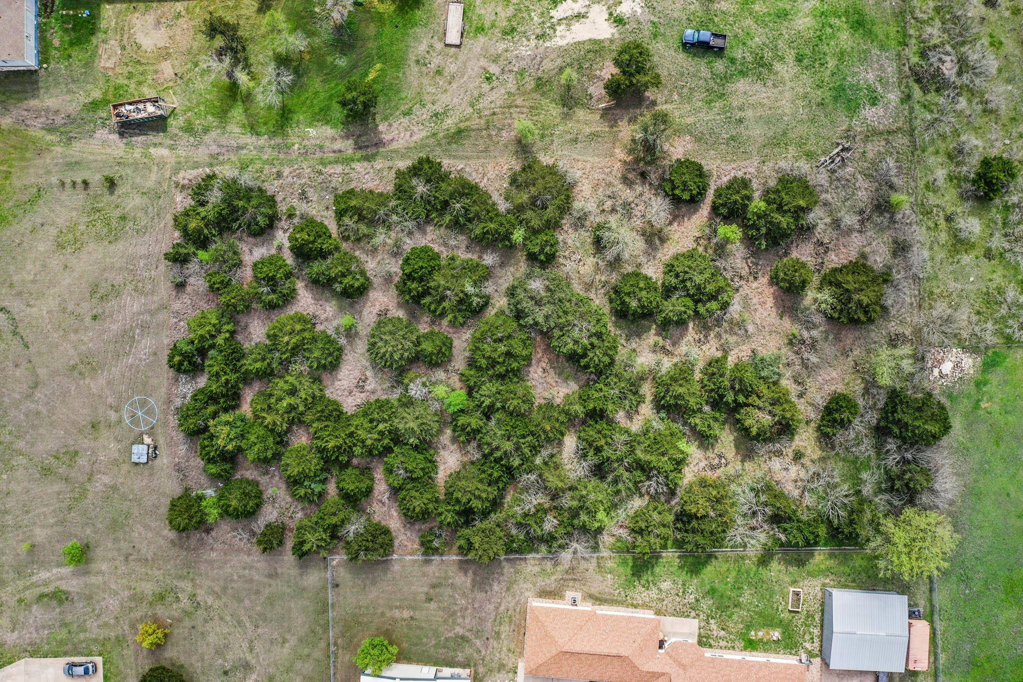 507 Mesa DR, Del Valle, TX 78617