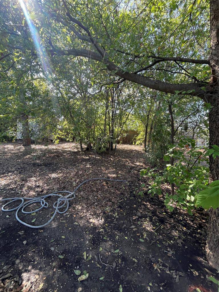 2006 Maple Ave #2, Austin, TX 78722