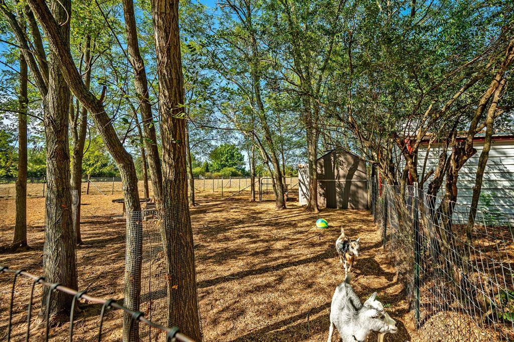 267 Delphia Drive, Denison, TX 75021