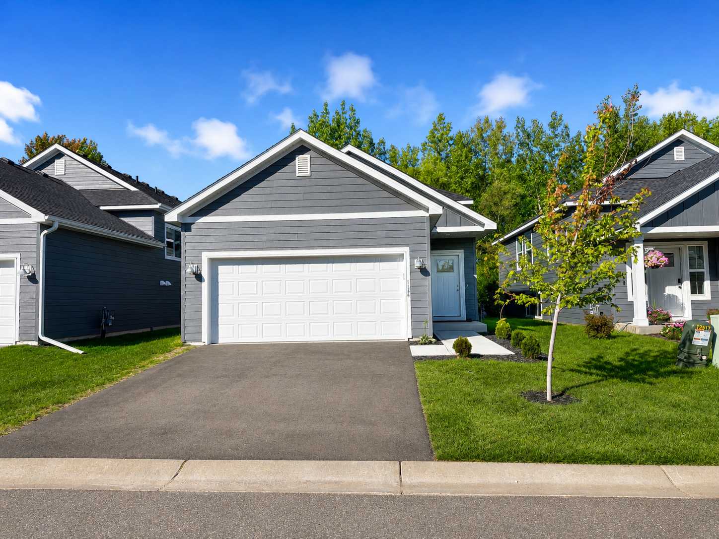 1134 Dorthy LN, Elko New Market, MN 55054