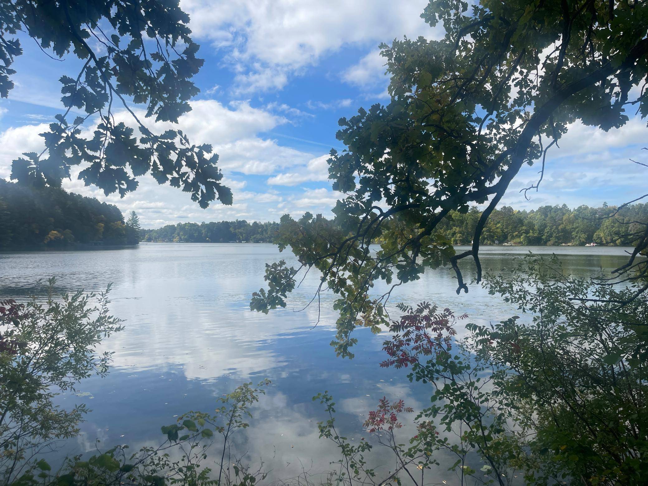 31531 N Oak ST, Pequot Lakes, MN 56472
