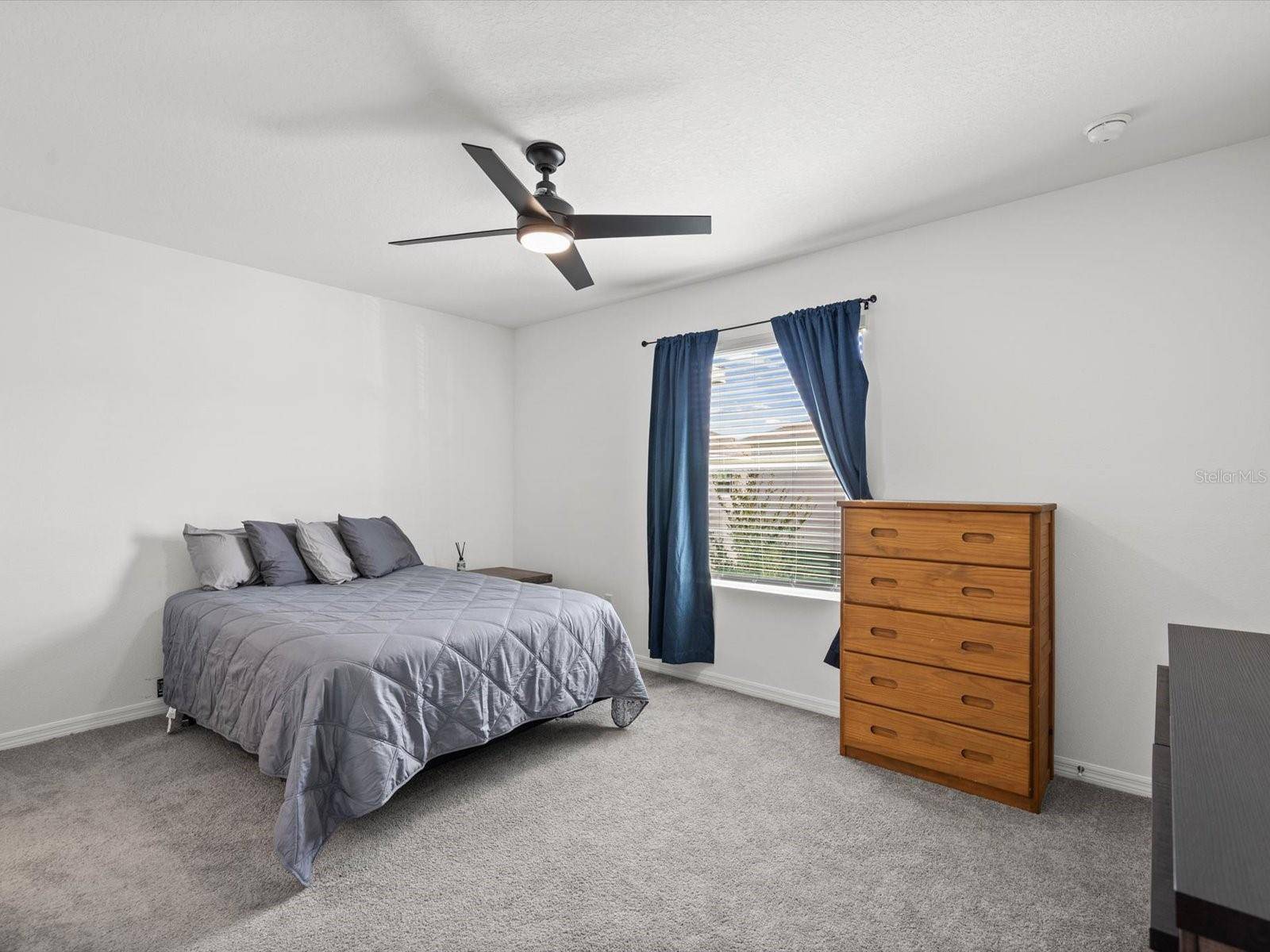 16630 GROTTO STEAM PL, Wimauma, FL 33598