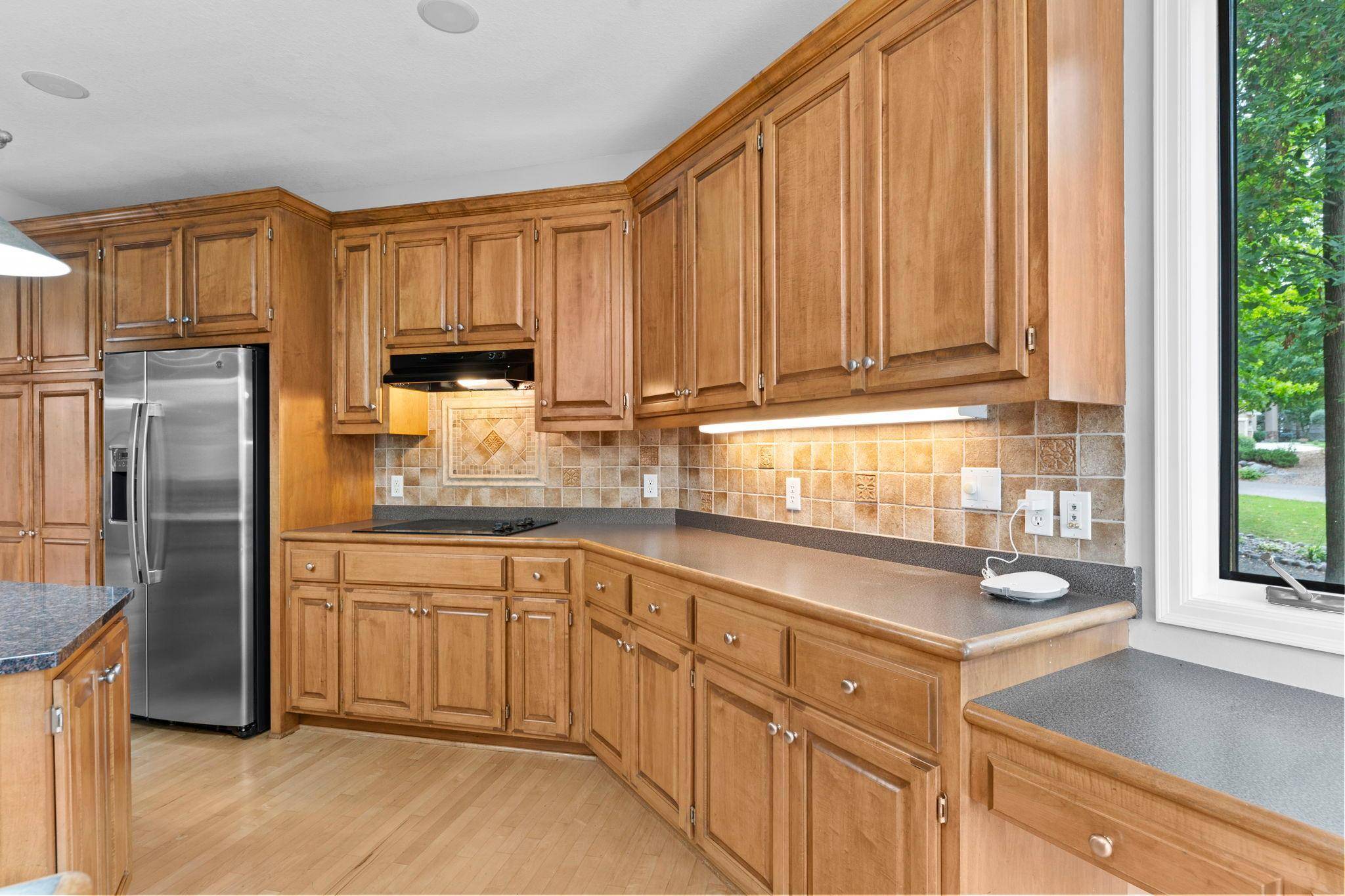 8915 Umbria PL N, Maple Grove, MN 55311