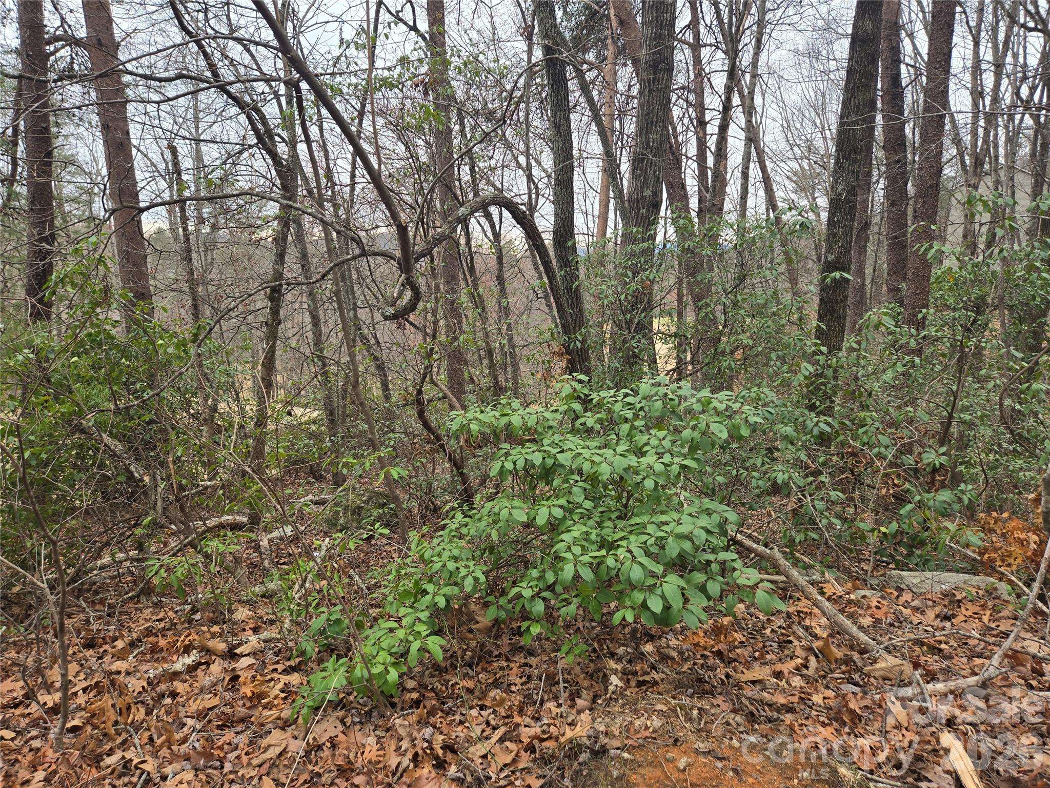 Lot 28 Roundabout RD, Lake Lure, NC 28746