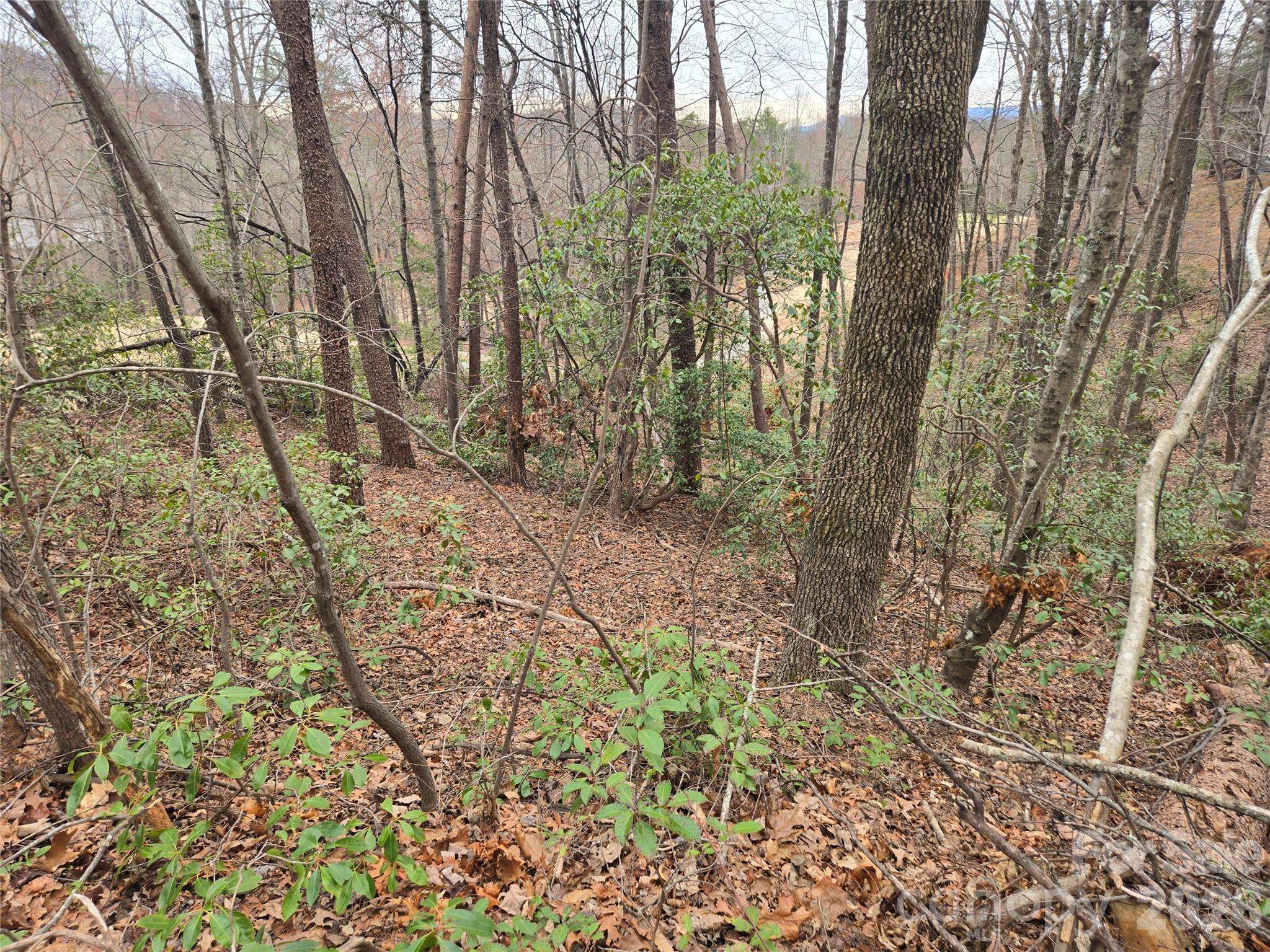 Lot 28 Roundabout RD, Lake Lure, NC 28746