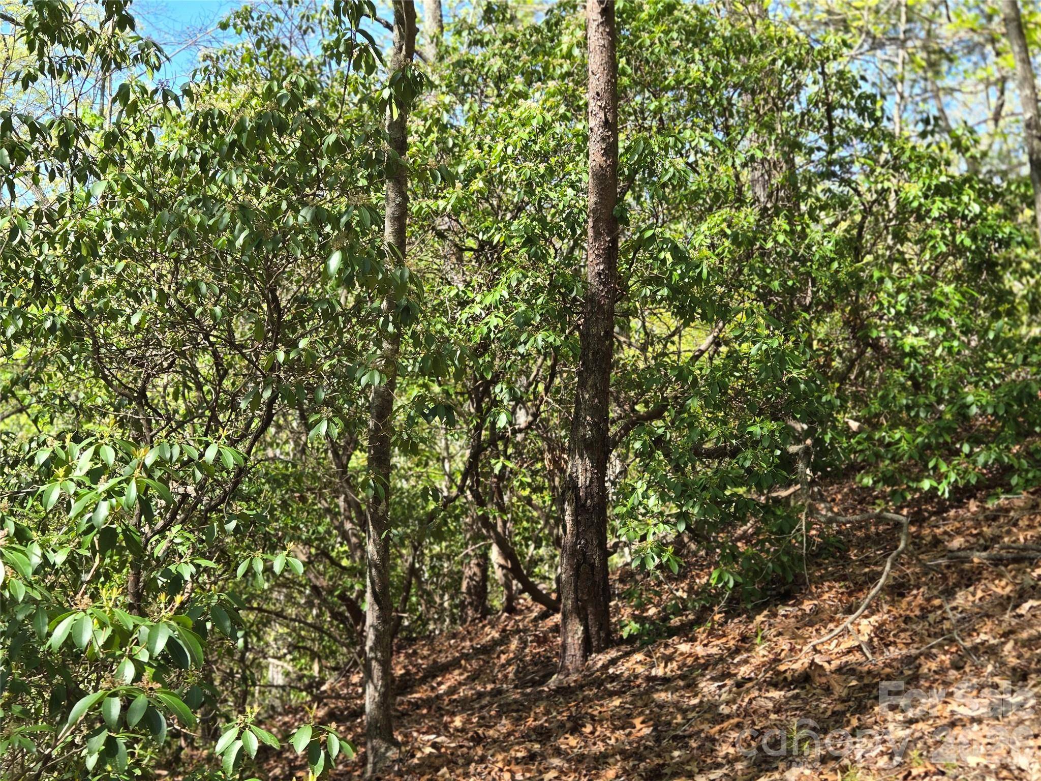 Lot 64 & 65 Walnut LN, Lake Lure, NC 28746