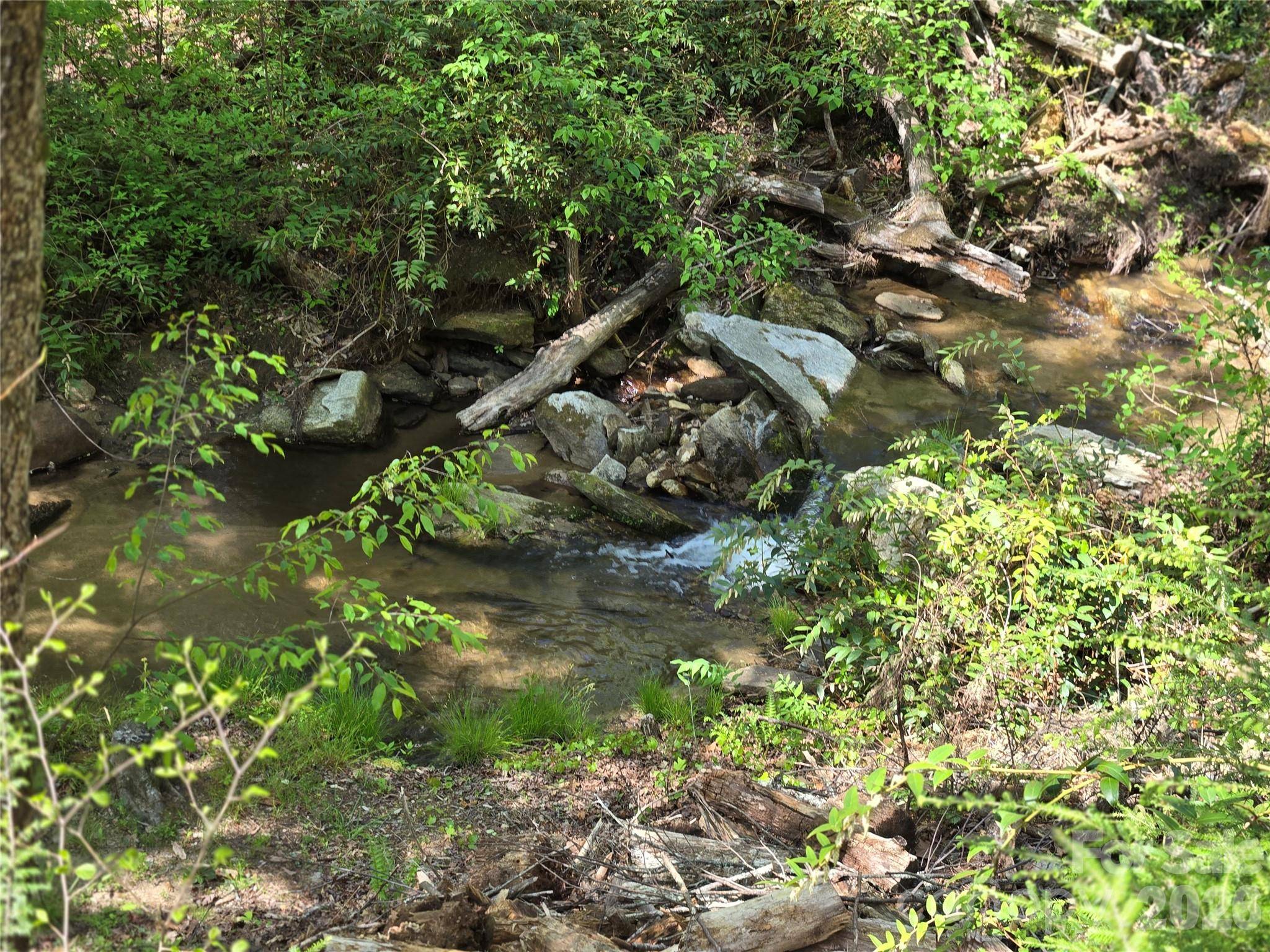 Lot 64 & 65 Walnut LN, Lake Lure, NC 28746