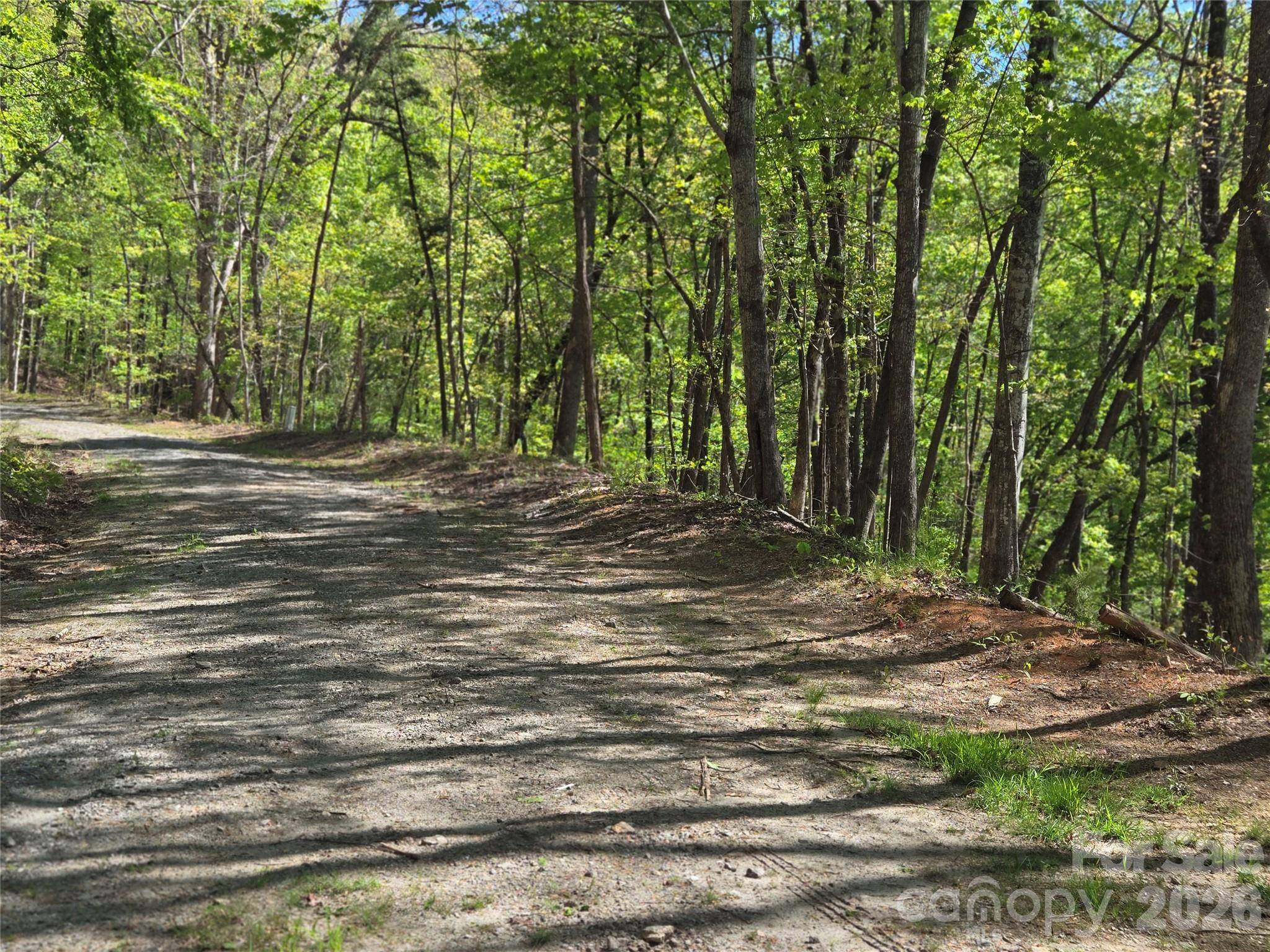 Lot 64 & 65 Walnut LN, Lake Lure, NC 28746