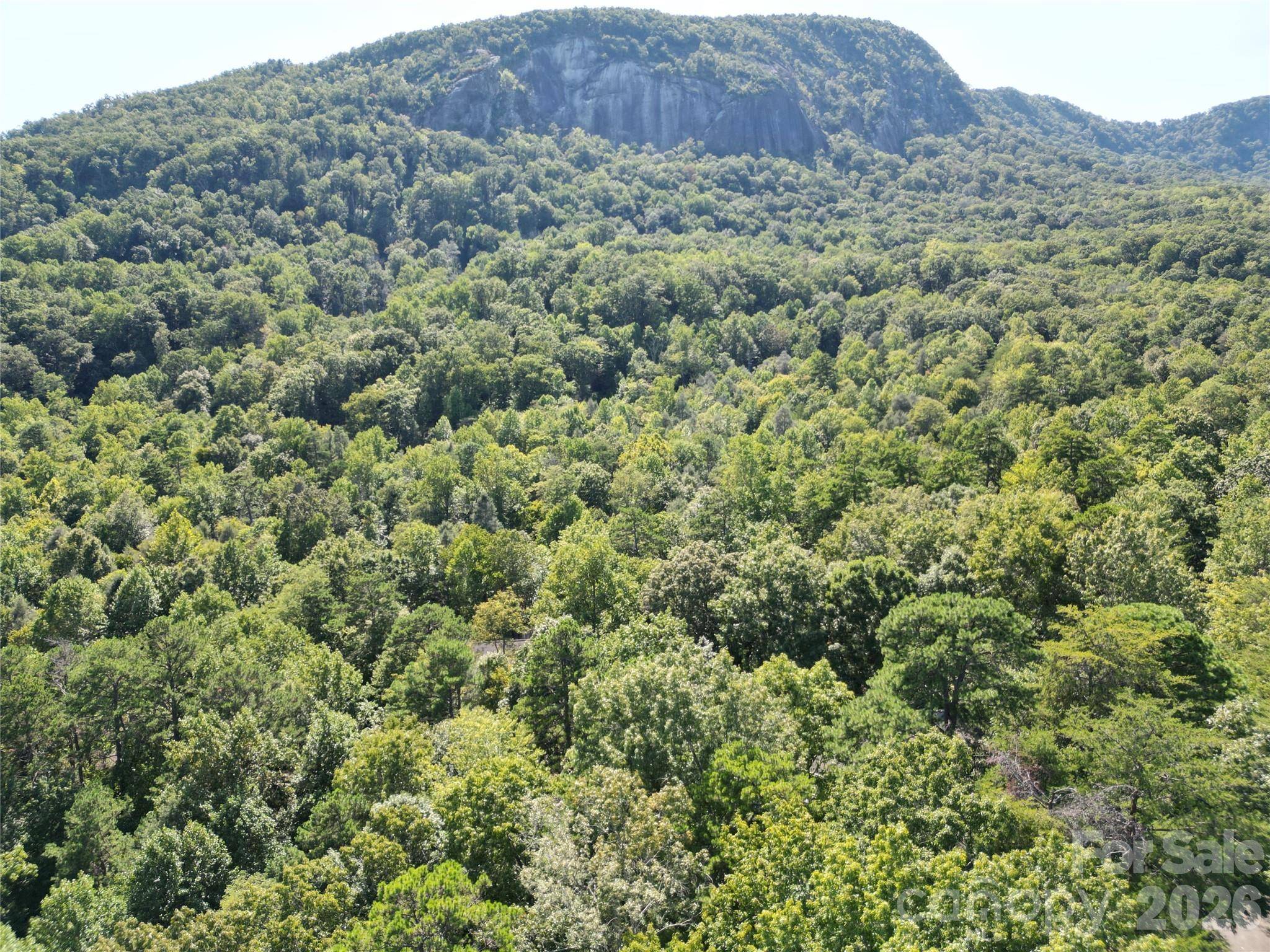 Lot 64 & 65 Walnut LN, Lake Lure, NC 28746
