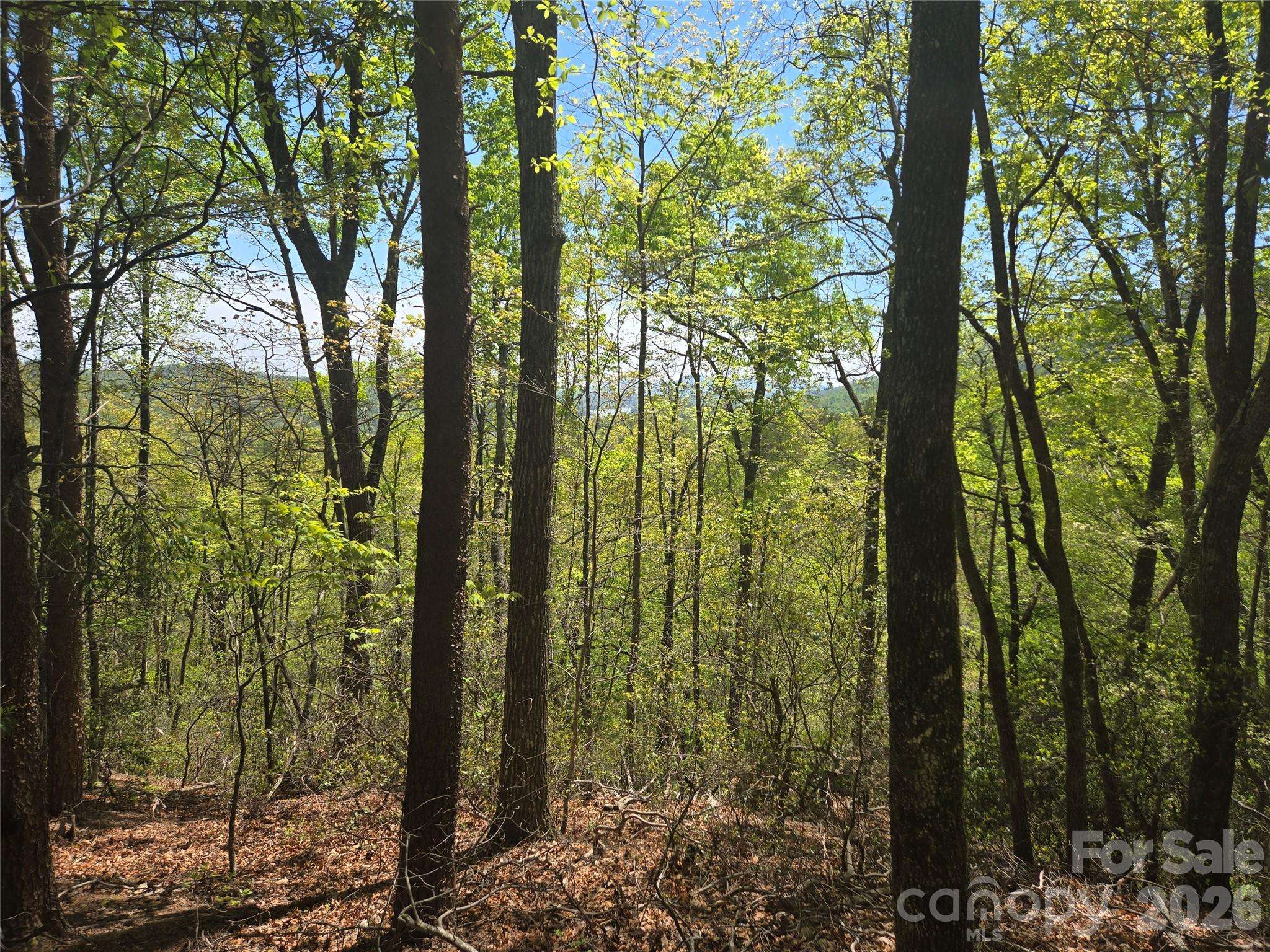 Lot 114 Summit CT, Lake Lure, NC 28746