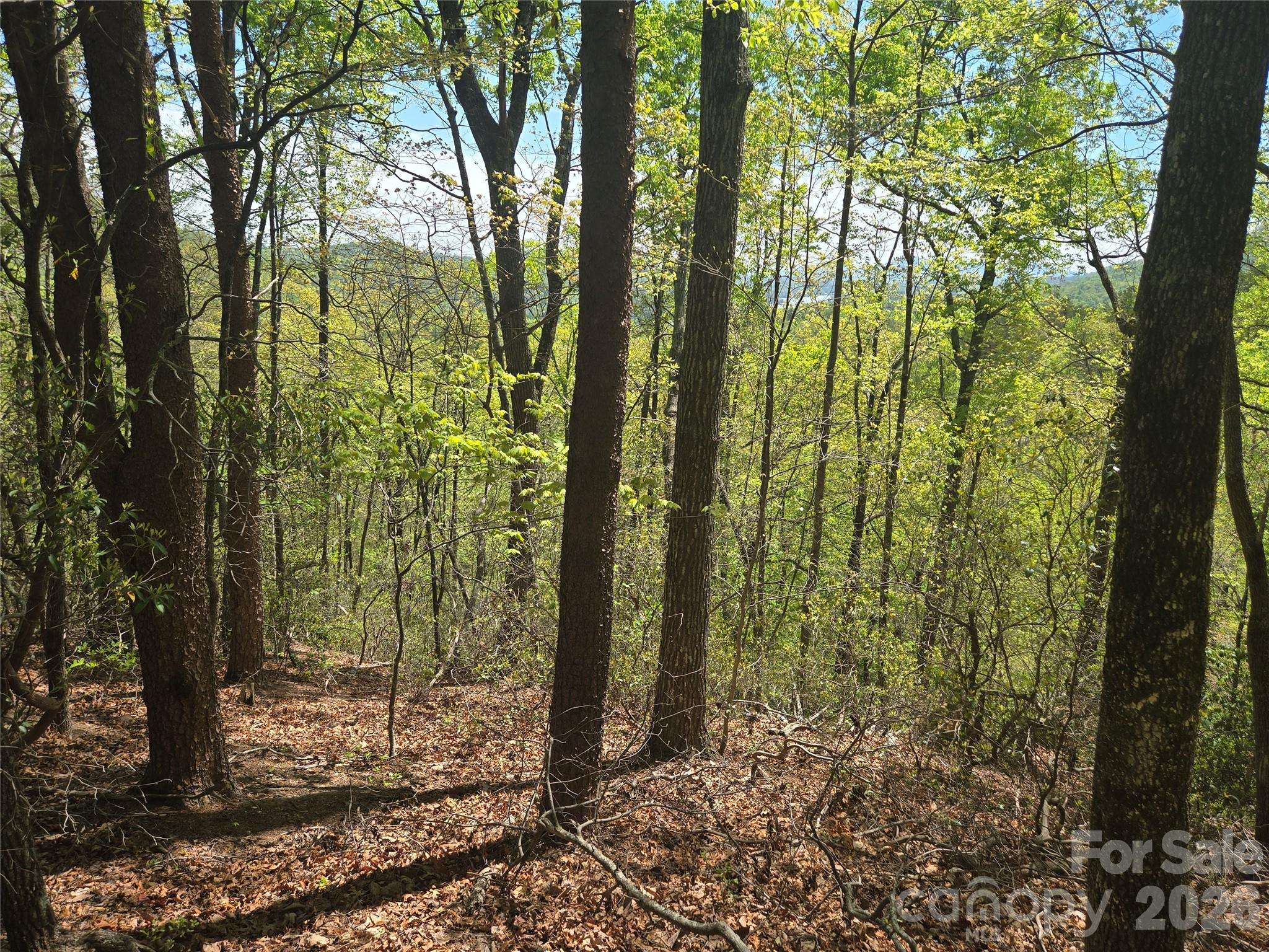 Lot 114 Summit CT, Lake Lure, NC 28746
