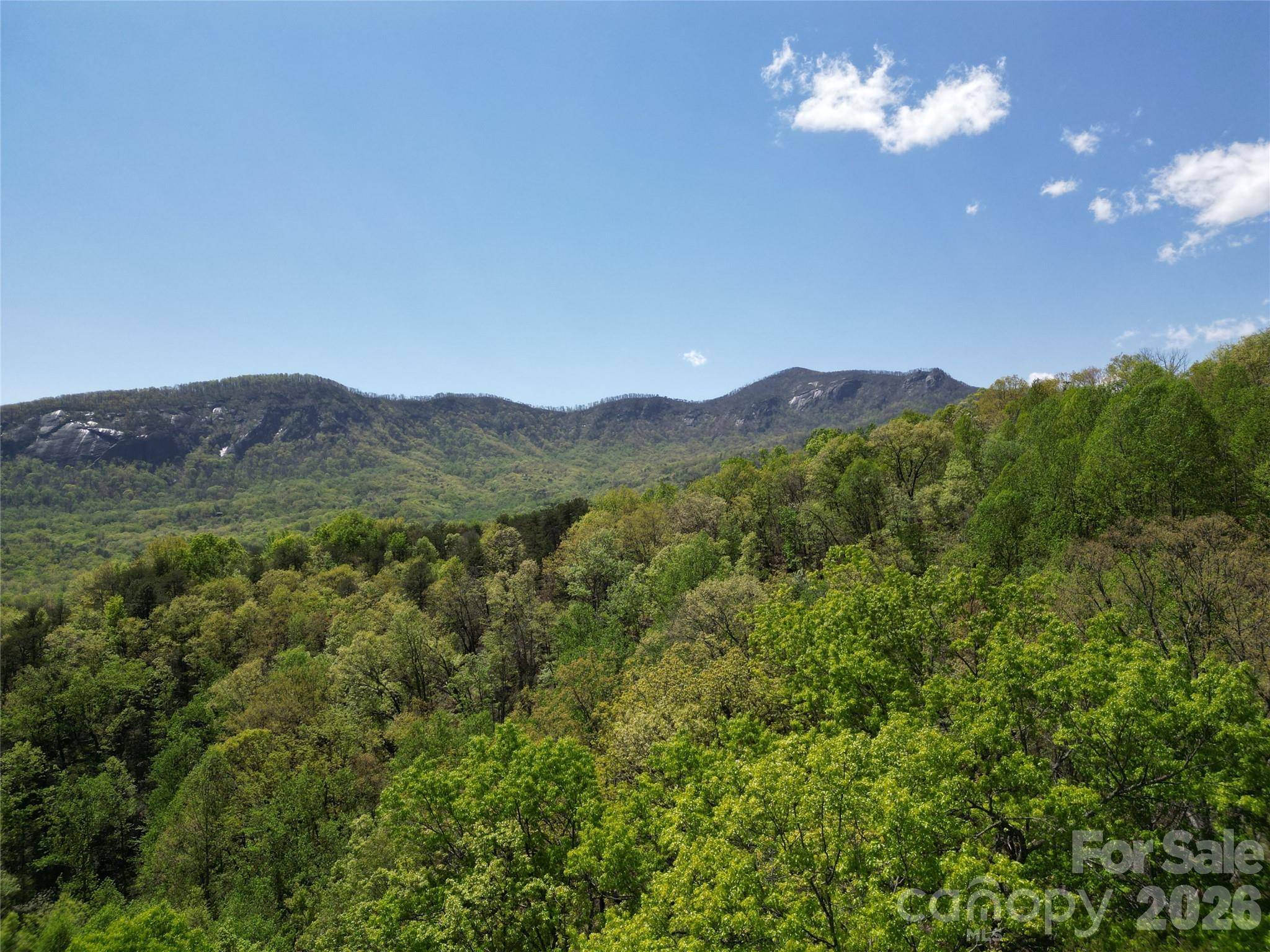 Lot 114 Summit CT, Lake Lure, NC 28746