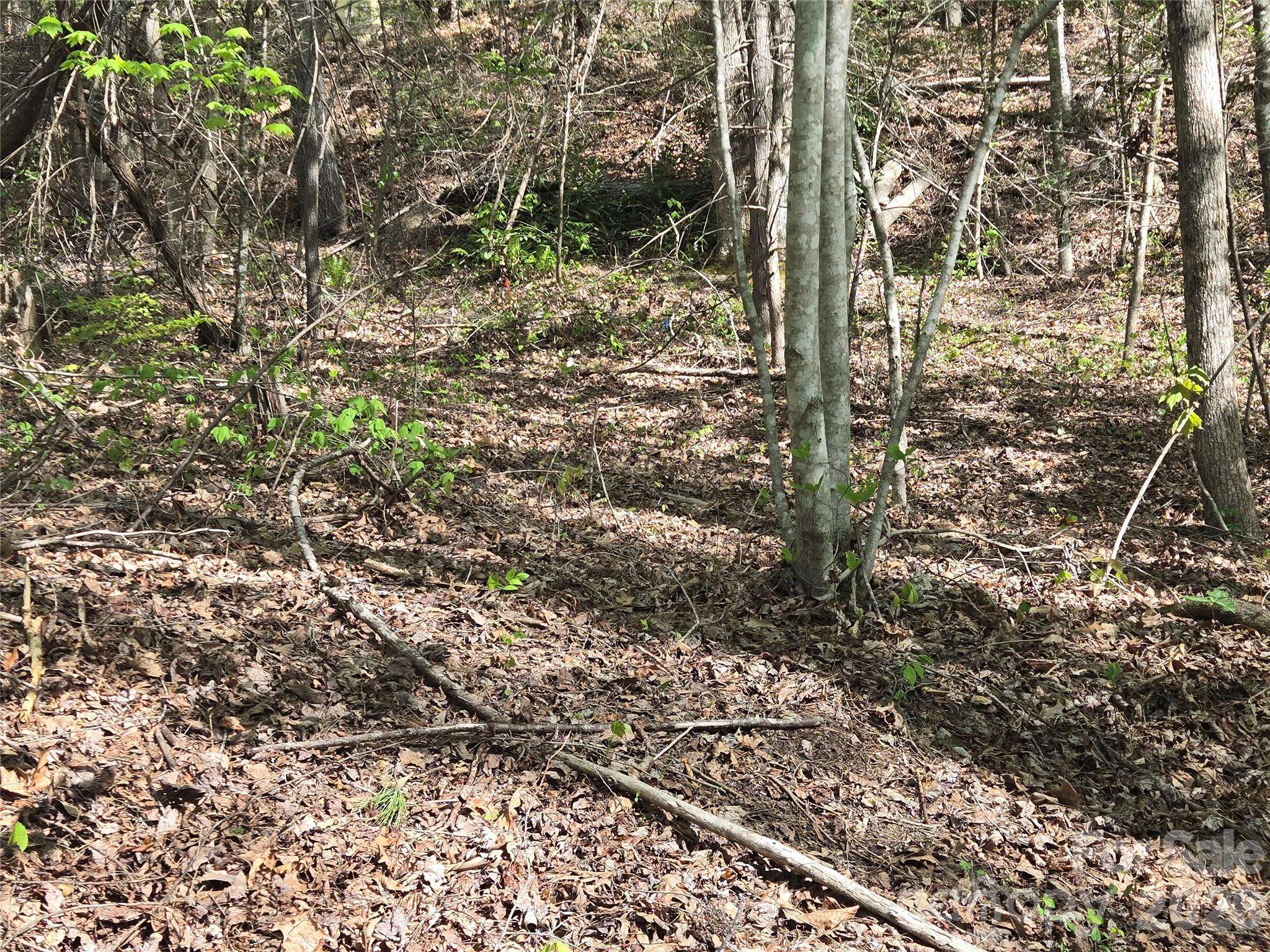 Lot 172 West Lake DR N, Lake Lure, NC 28746