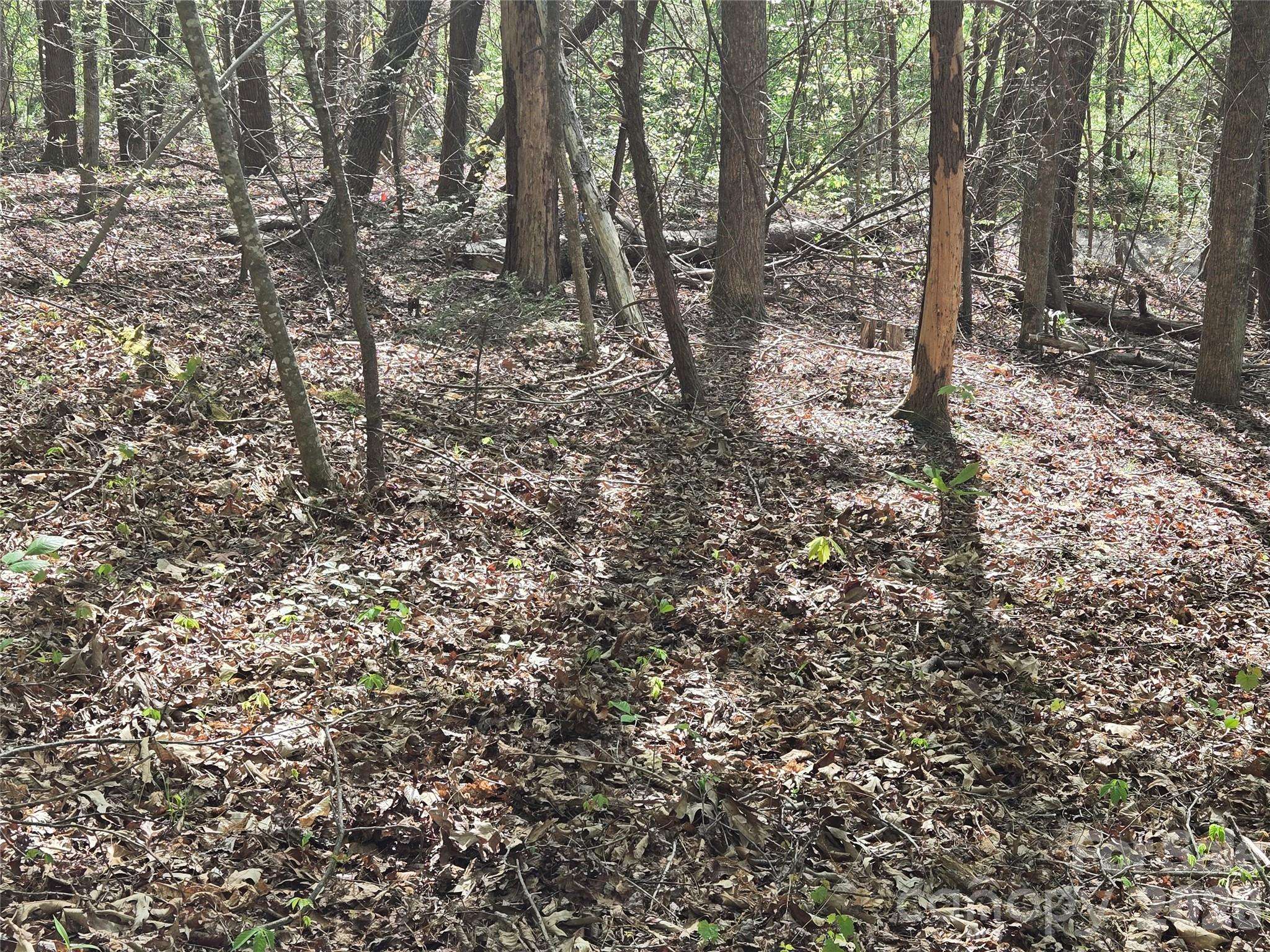 Lot 172 West Lake DR N, Lake Lure, NC 28746