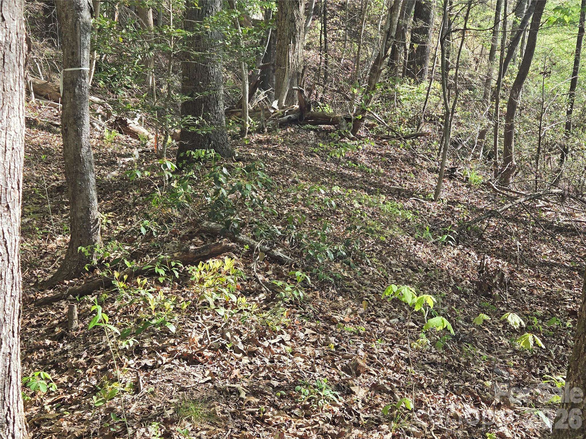 Lot 172 West Lake DR N, Lake Lure, NC 28746