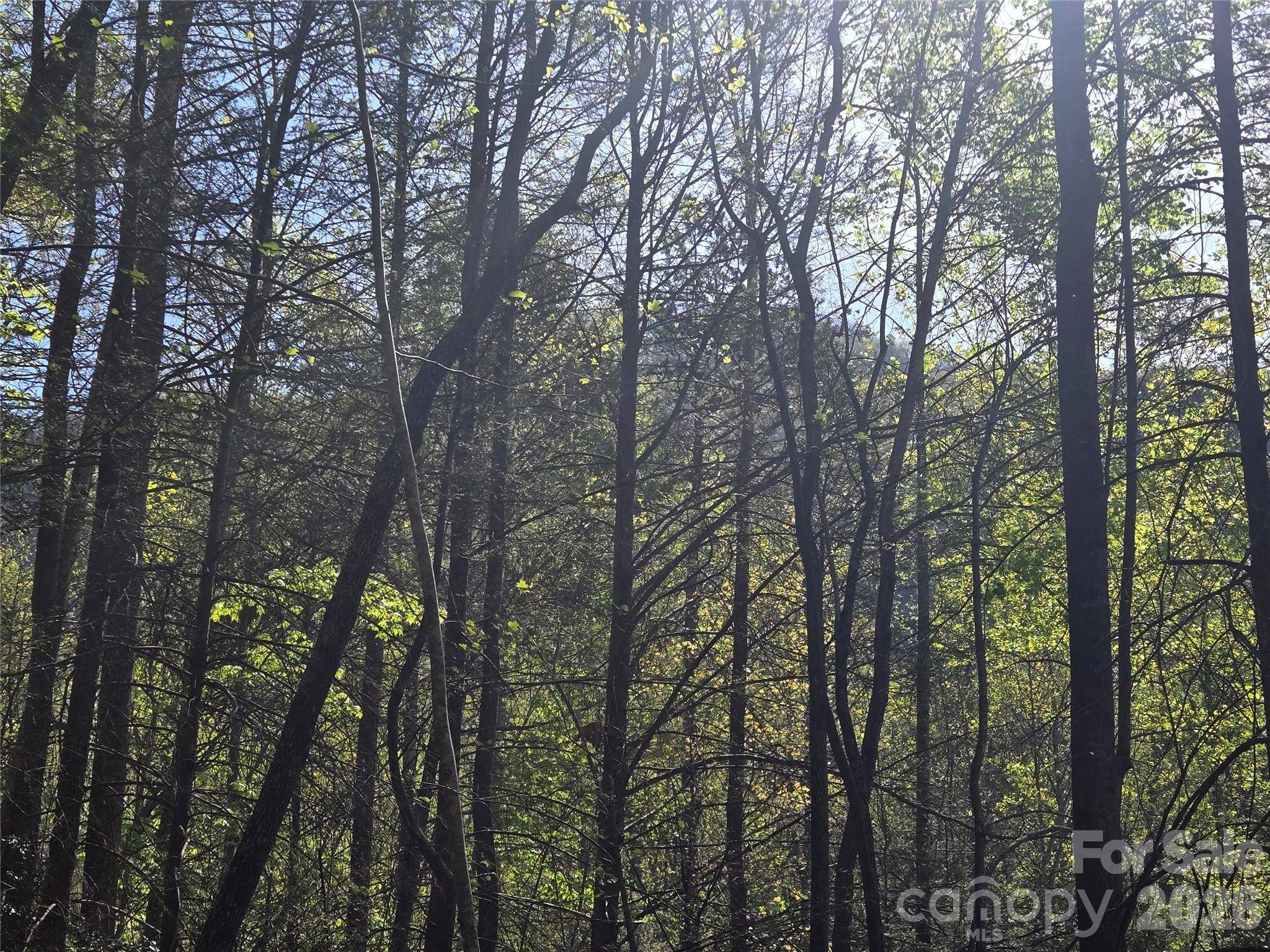 Lot 172 West Lake DR N, Lake Lure, NC 28746