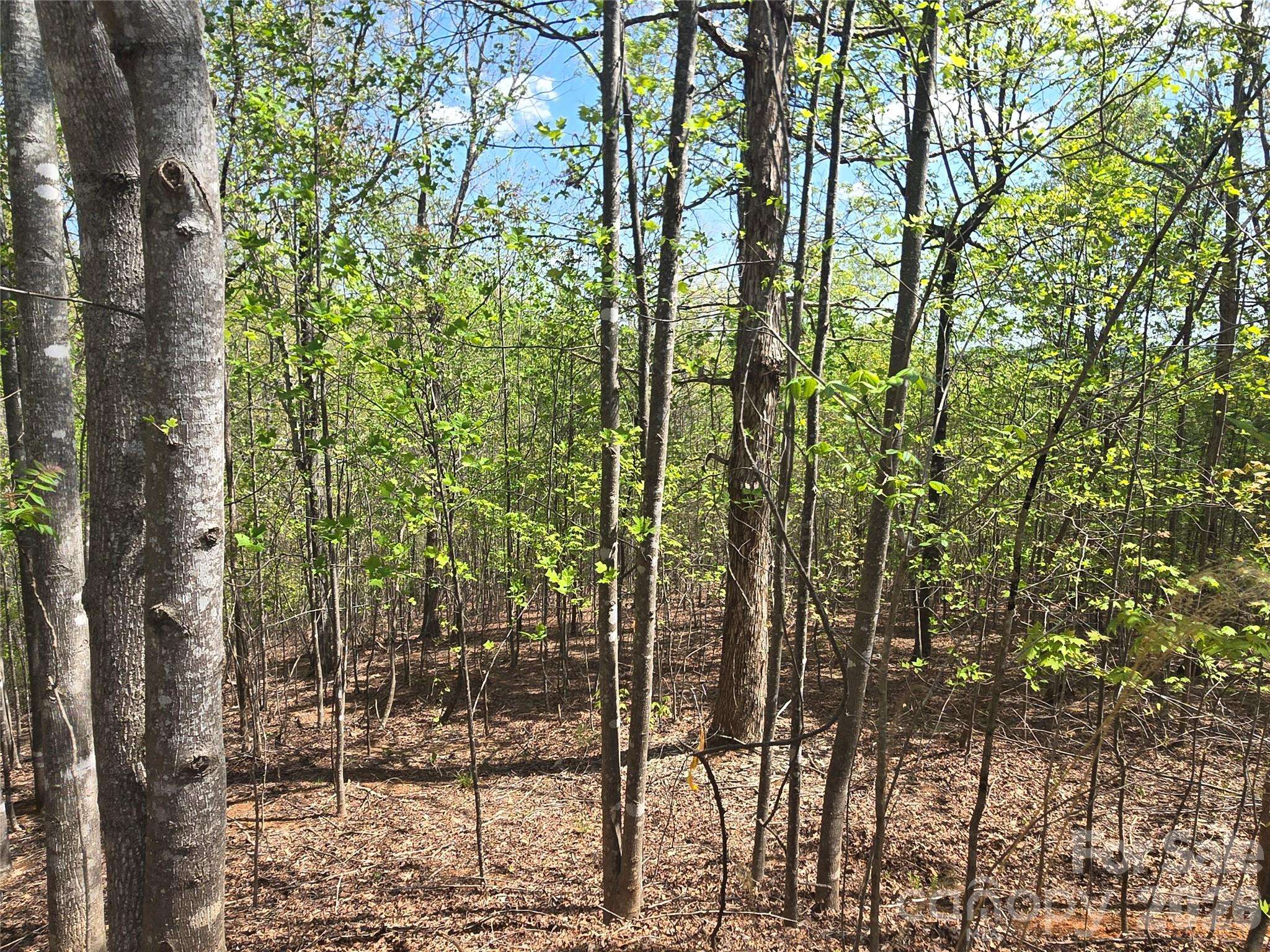 Lot 13 Back Hollow DR, Lake Lure, NC 28746