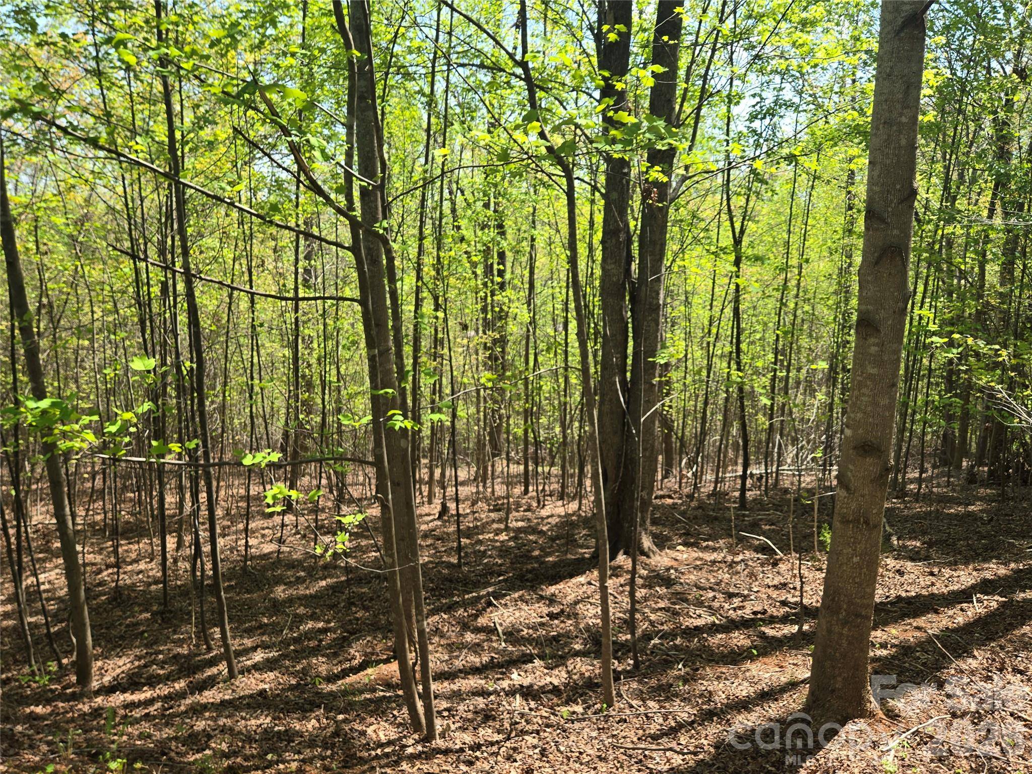 Lot 14 Back Hollow DR, Lake Lure, NC 28746