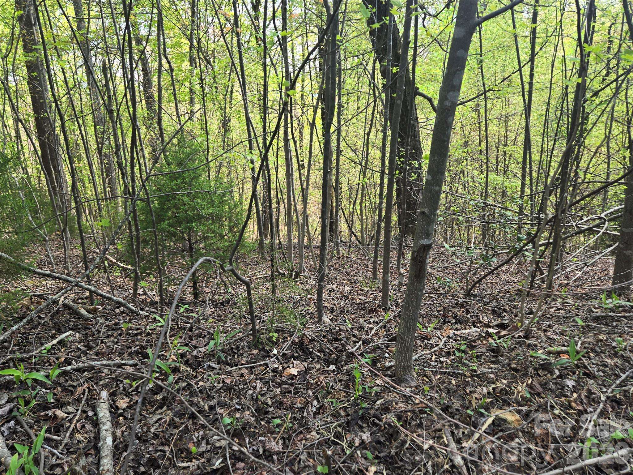 Lot 15 Touch Me Not TRL, Lake Lure, NC 28746