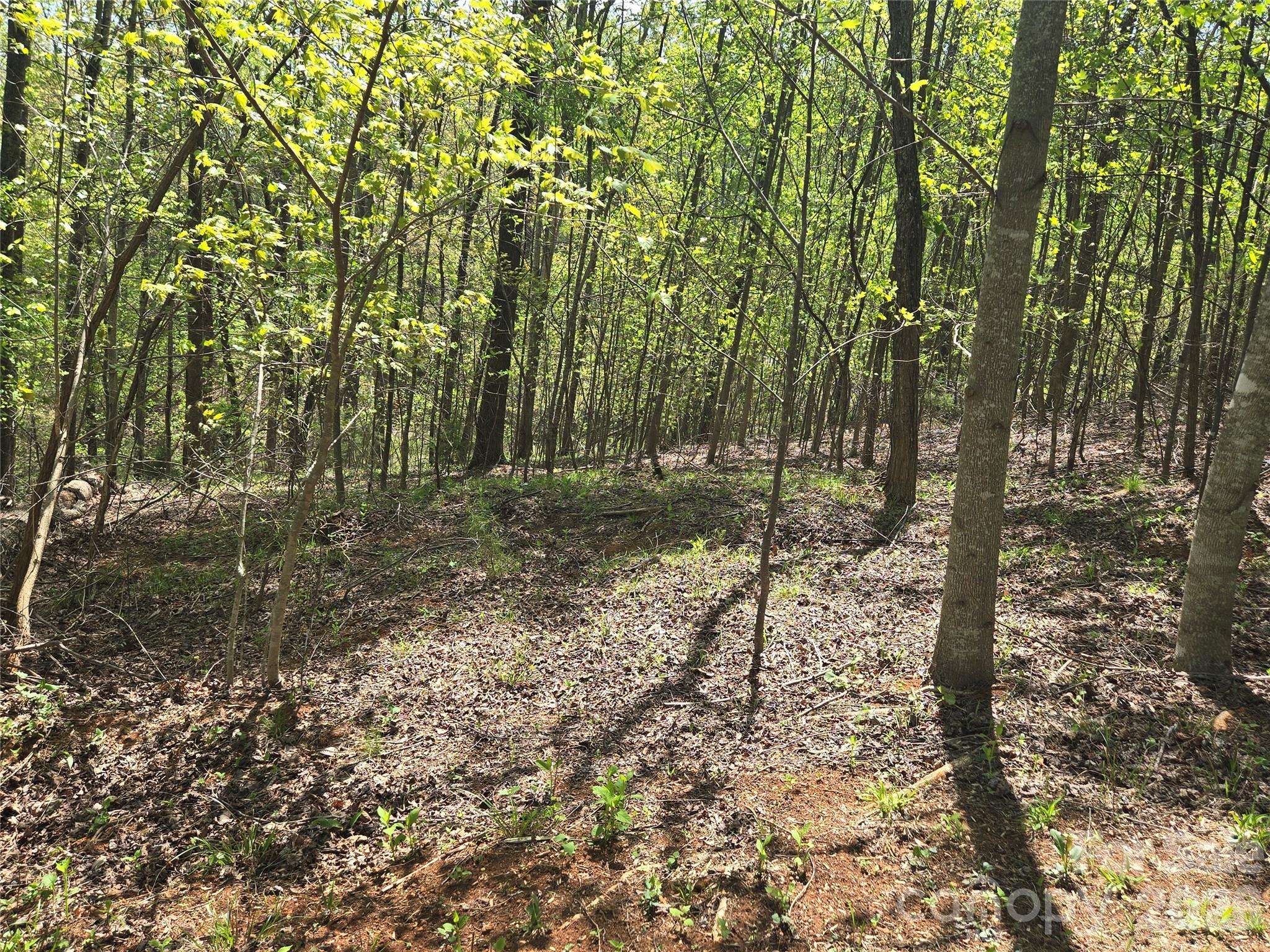 Lot 15 Touch Me Not TRL, Lake Lure, NC 28746