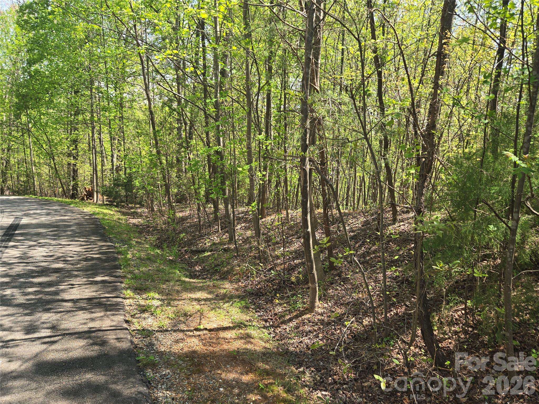 Lot 15 Touch Me Not TRL, Lake Lure, NC 28746