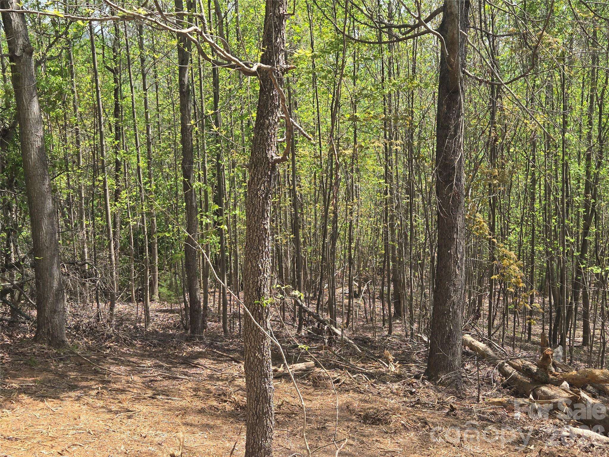 Lot 16 High Rock RDG, Lake Lure, NC 28746