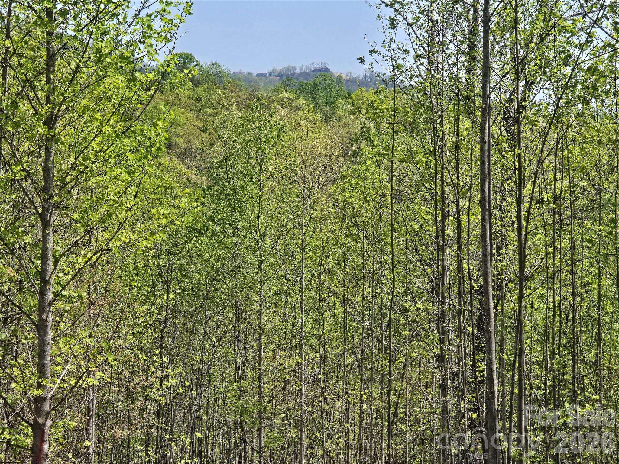 Lot 17 Touch Me Not TRL, Lake Lure, NC 28746