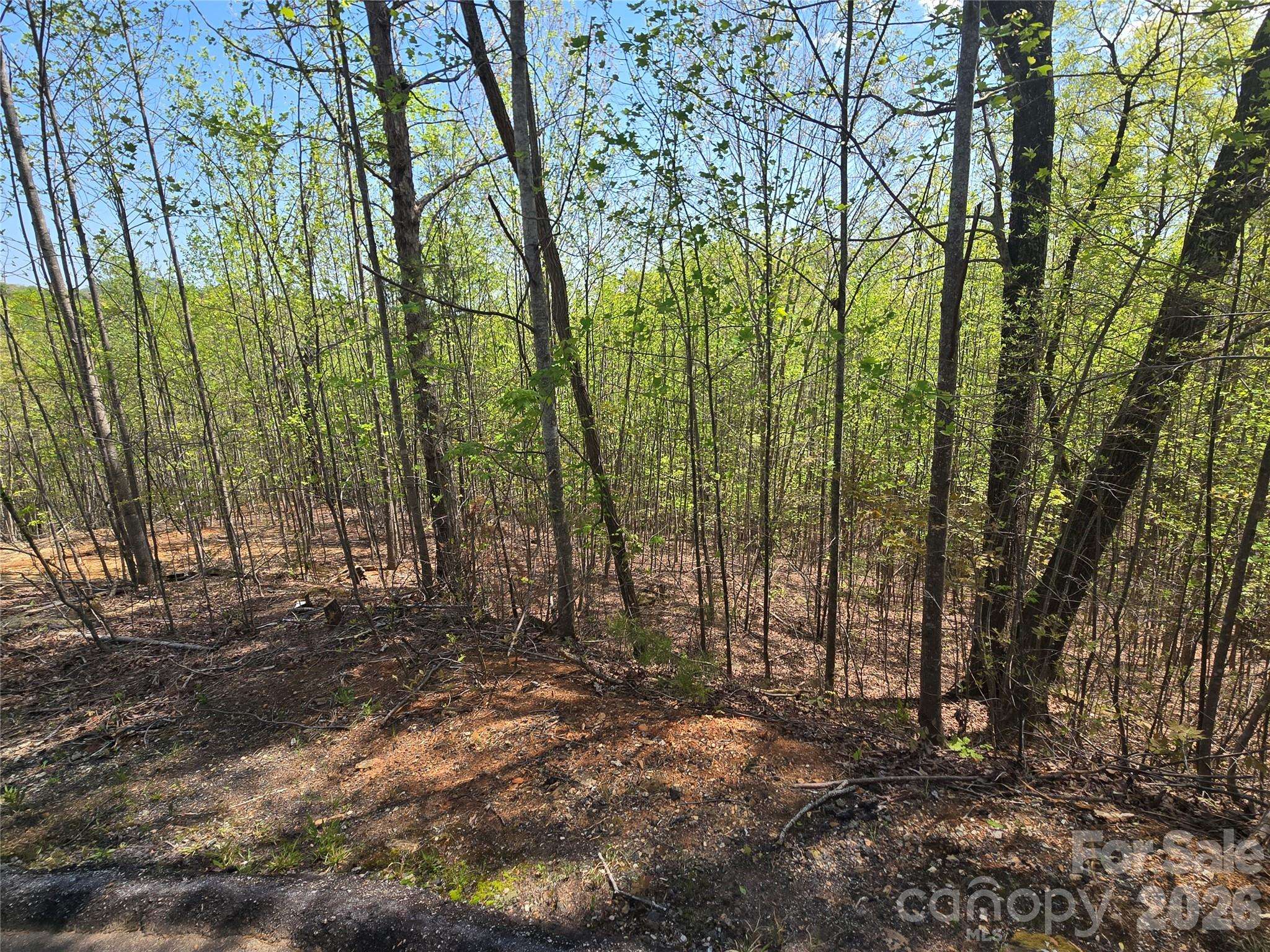 Lot 17 Touch Me Not TRL, Lake Lure, NC 28746