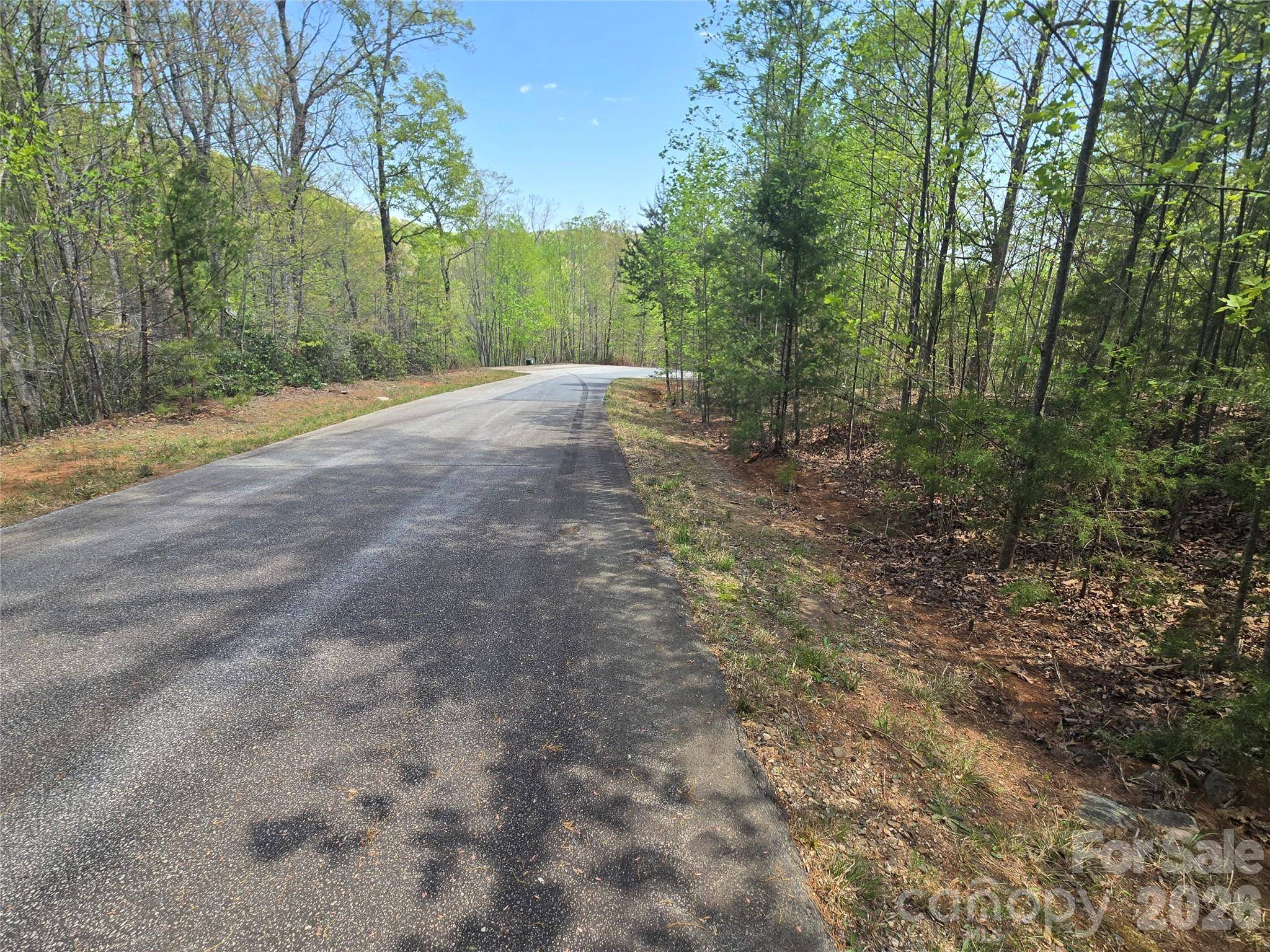 Lot 20 Touch Me Not TRL, Lake Lure, NC 28746